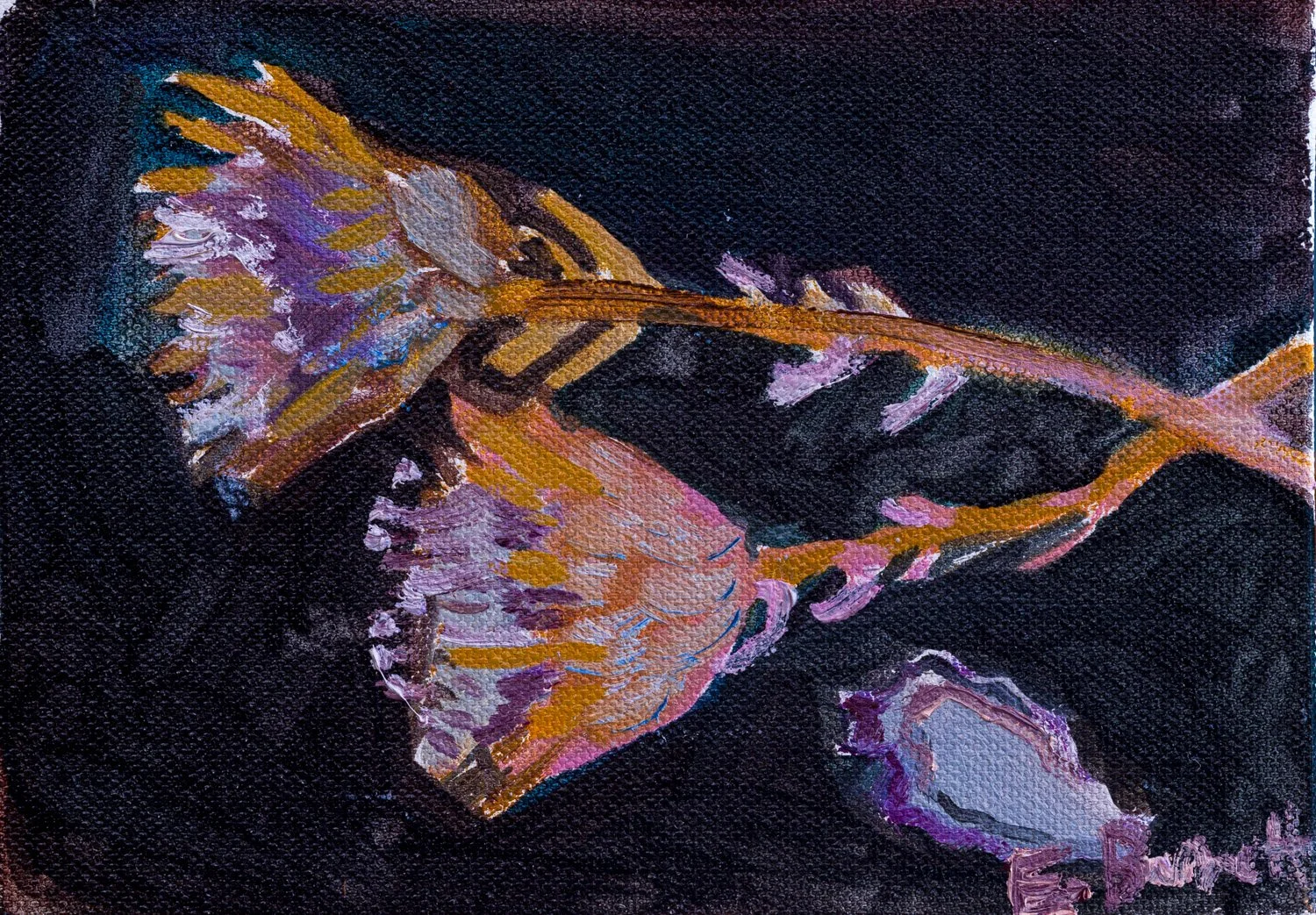 2508-EBarnett-Dried Proteas at Spring Beach-WEB.jpg