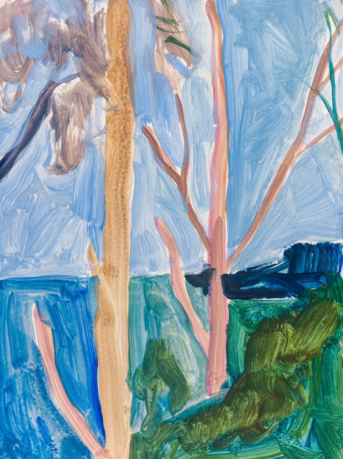 2508-EBarnett-Looking out from the Point at Spring Beach-WEB.jpg