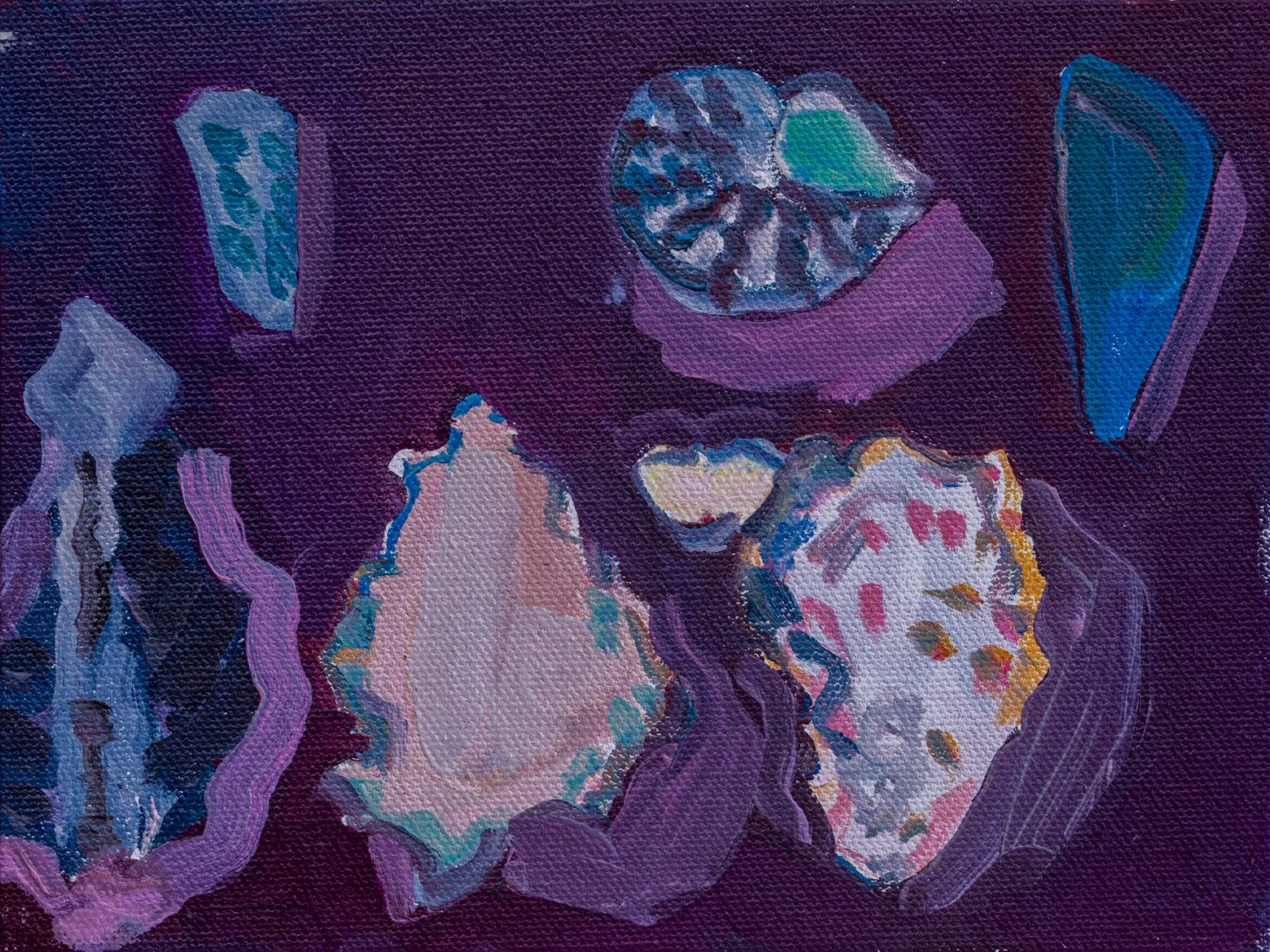 2508-EBarnett-Shells on Dark Bacground-WEB.jpg