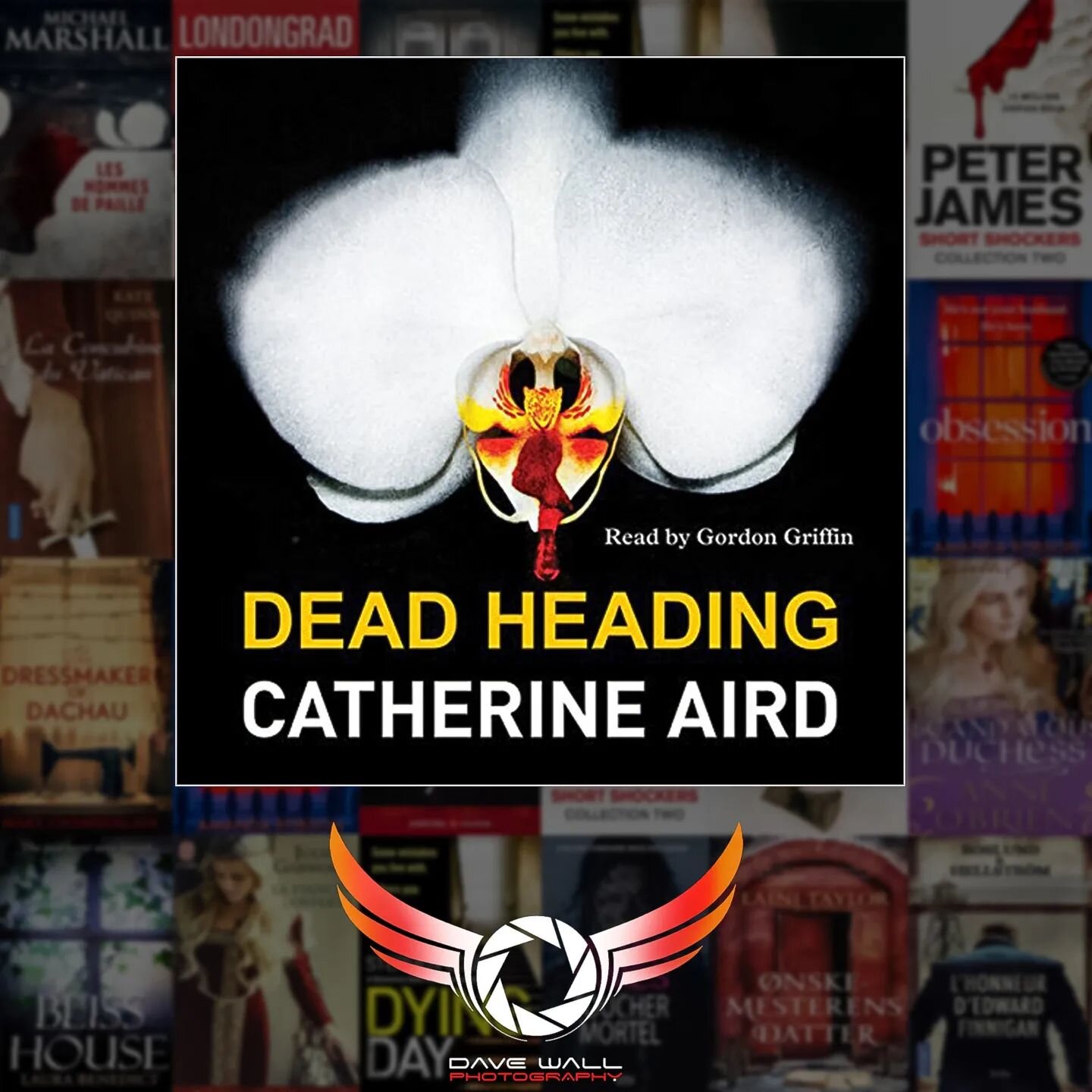 Another book cover by @davewallphoto via the AWESOME @arcangelimages by author #catherineaird
#bookcoverphotography #davewallphoto #bookaddict #bookstagram #books #bookcovers #bookphotography #booklover #stockphotography #visualartist #bookcoverdesi