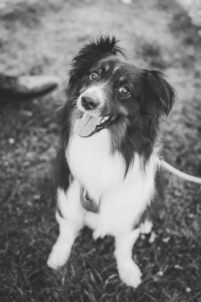 Hannah portfolio-78.jpg
