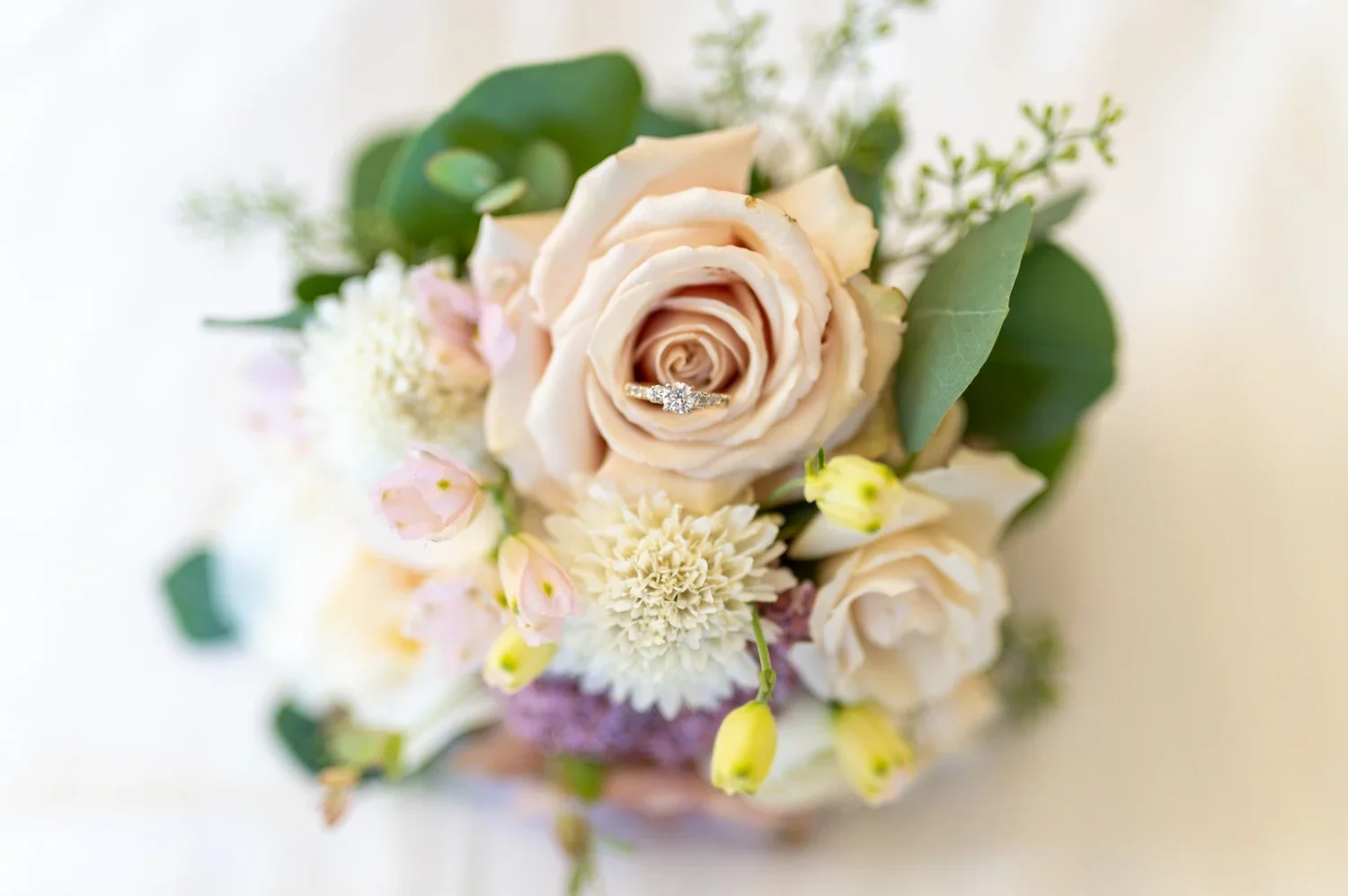 ©TiffanyNichols+(+July+23,+2022+[+11.17.15])+-+TIF_4295.webp