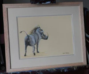 Warthog Boar (Framed). 
Pastel pencils on Canson Mi-Teintes Touch sanded paper