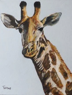 Giraffe Portrait. 
Painted in a fairly loose style using Winsor & Newton Artisan water mixable oils on 14 x 18" stretched canvas. 
