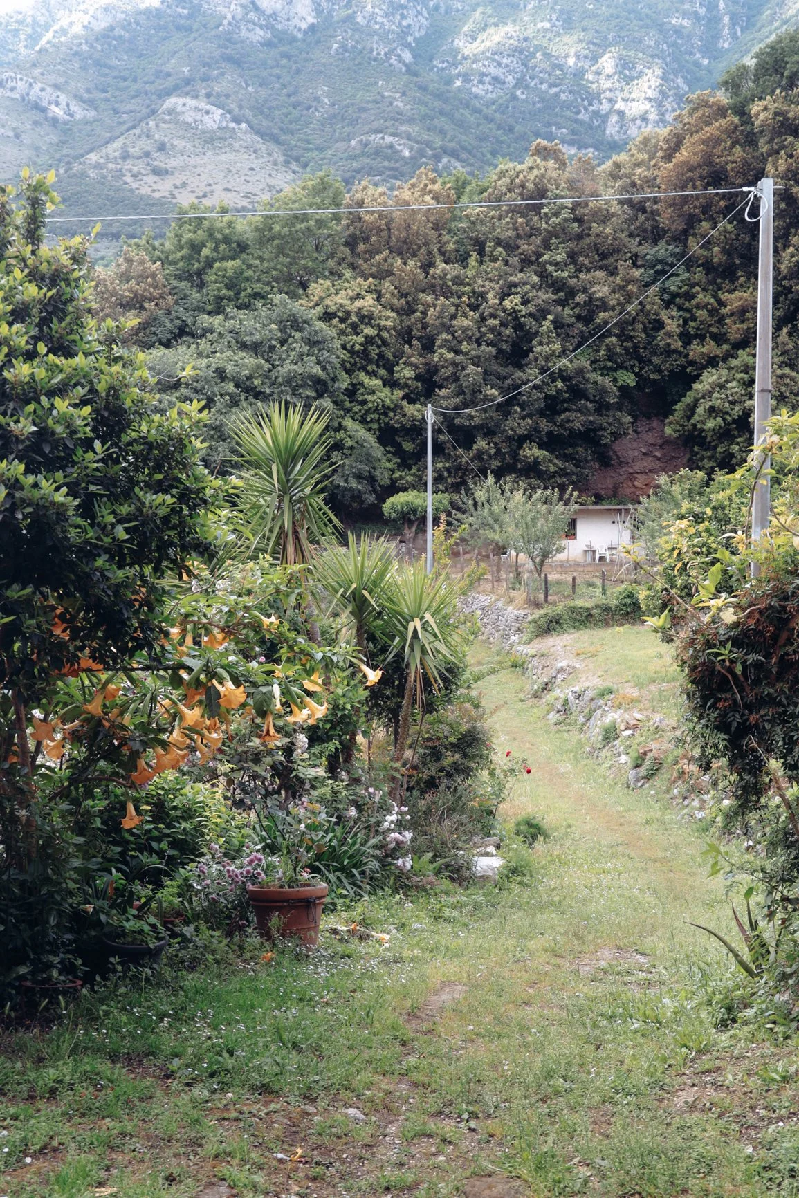 CN_R8023.jpg