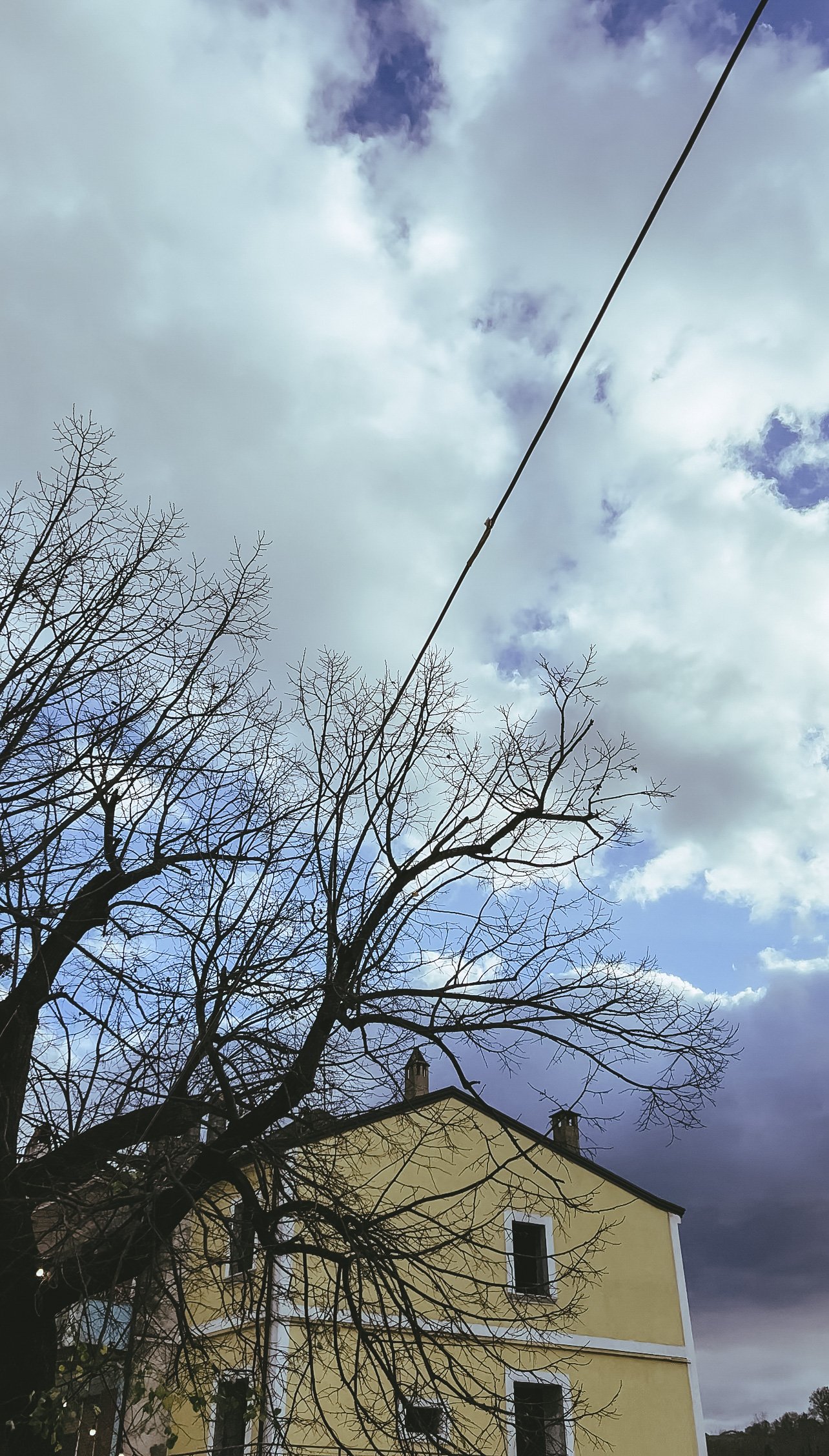 Albero spoglio davanti a un edificio giallo con cielo nuvoloso e cavo elettrico in alto.