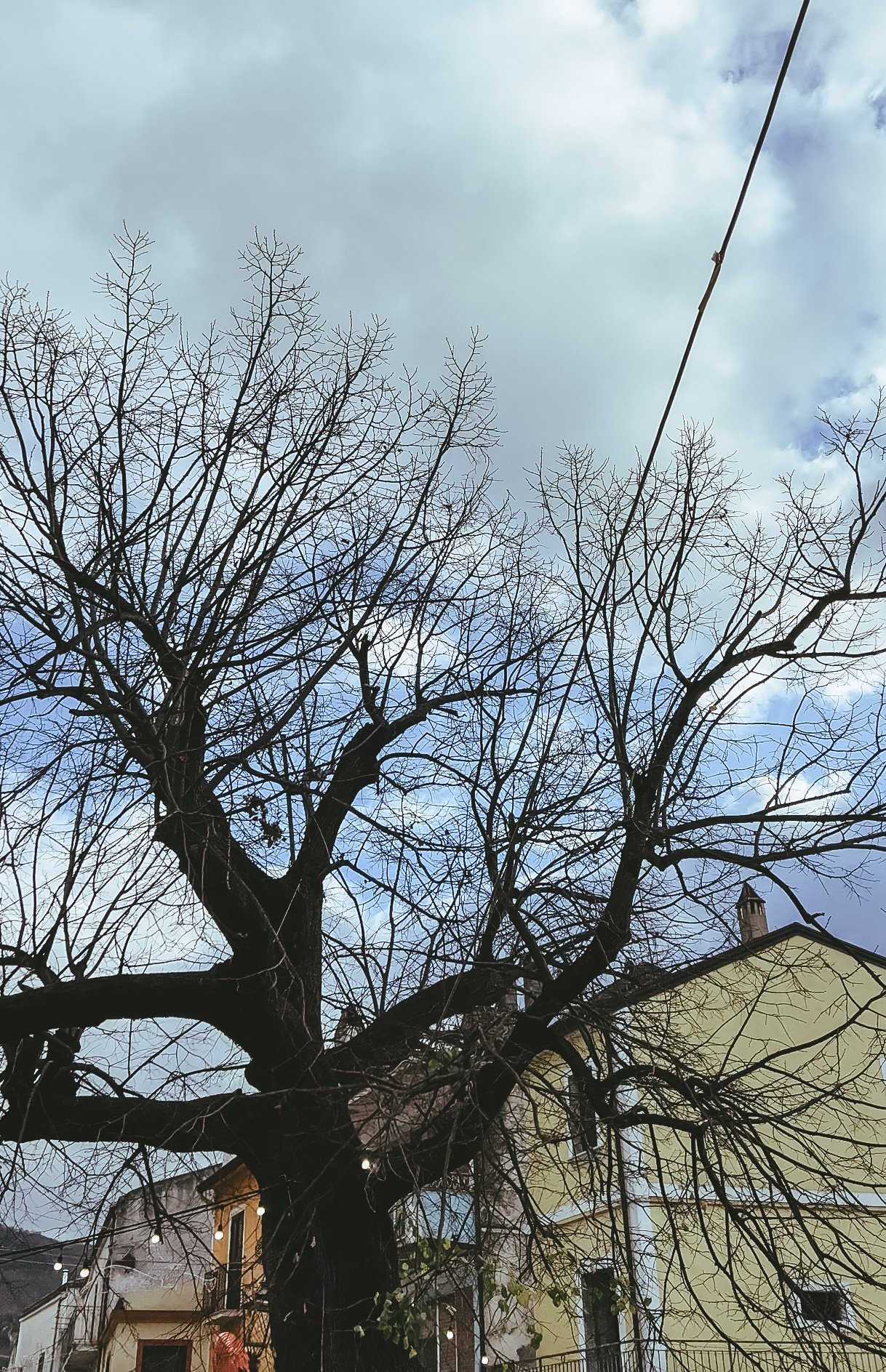 Albero spoglio davanti a edifici con cielo nuvoloso