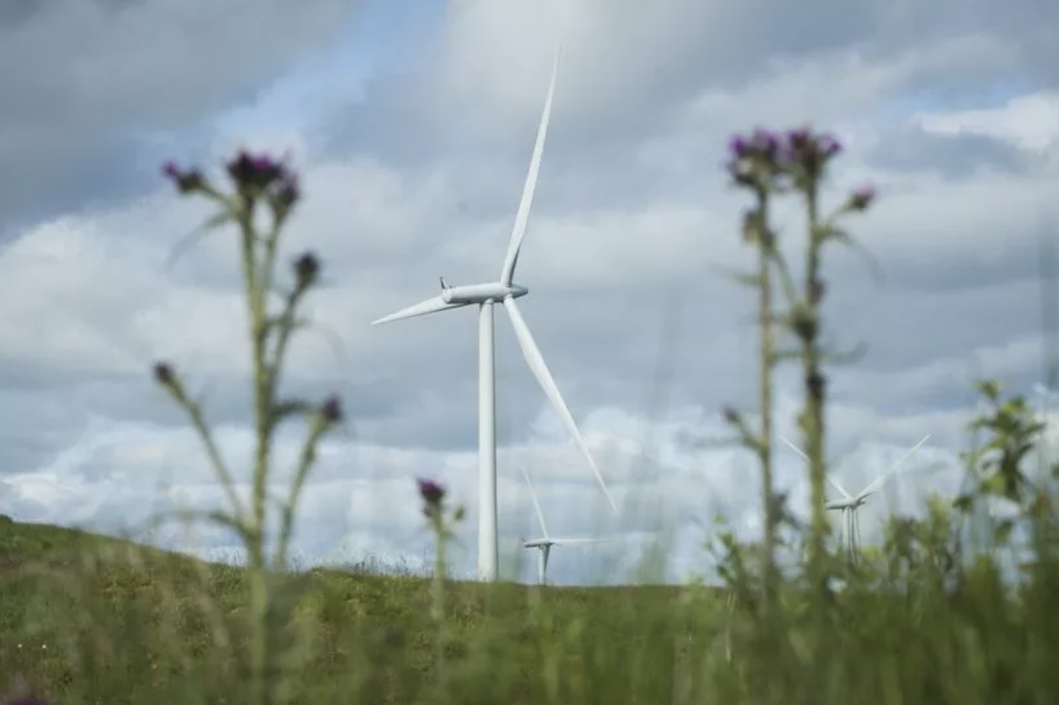 Zonal energy pricing puts £30bn worth of onshore Scottish renewable investment at risk, analysis shows.