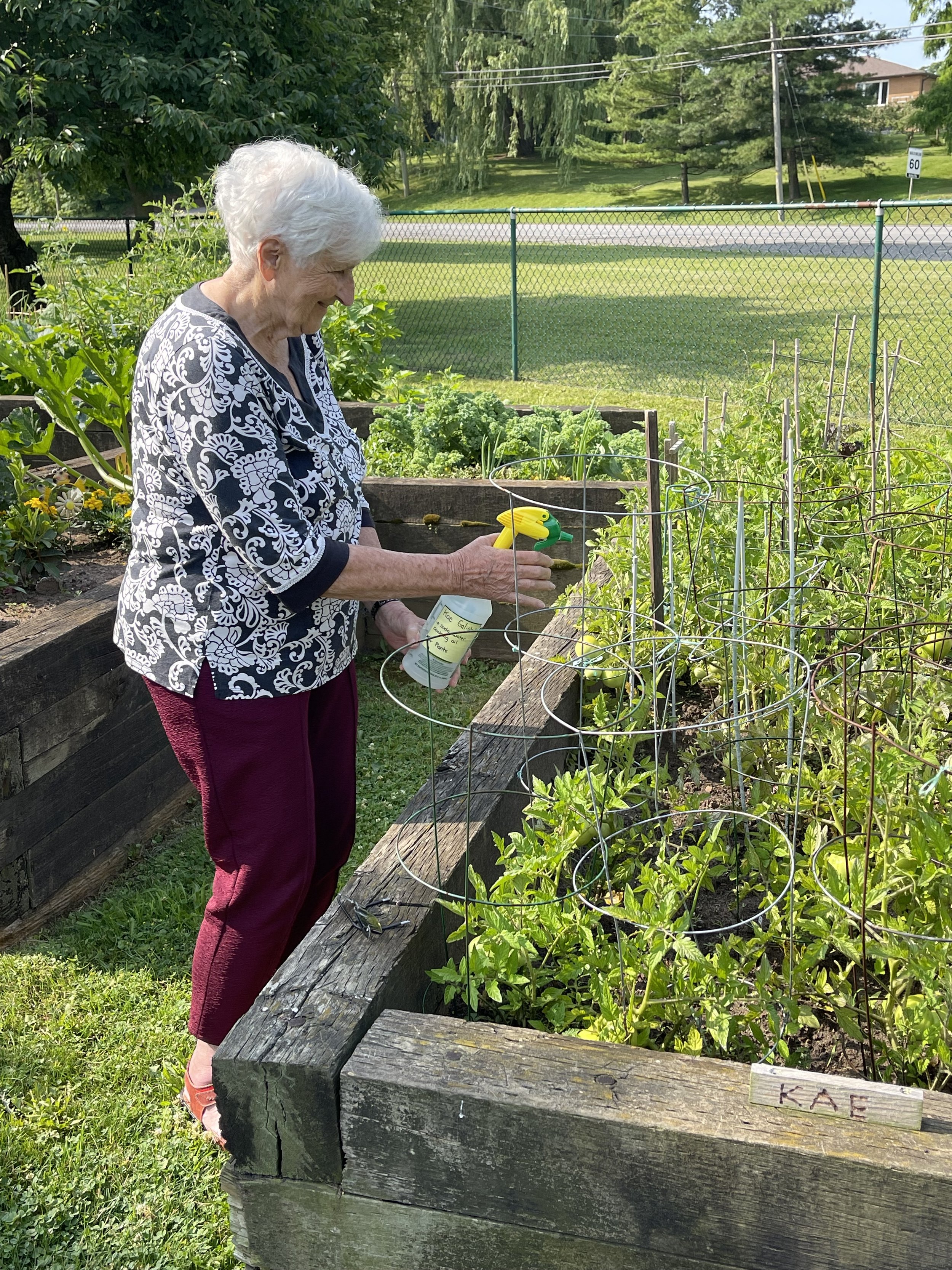Gardening for the Elderly – Smiles, Health, and more