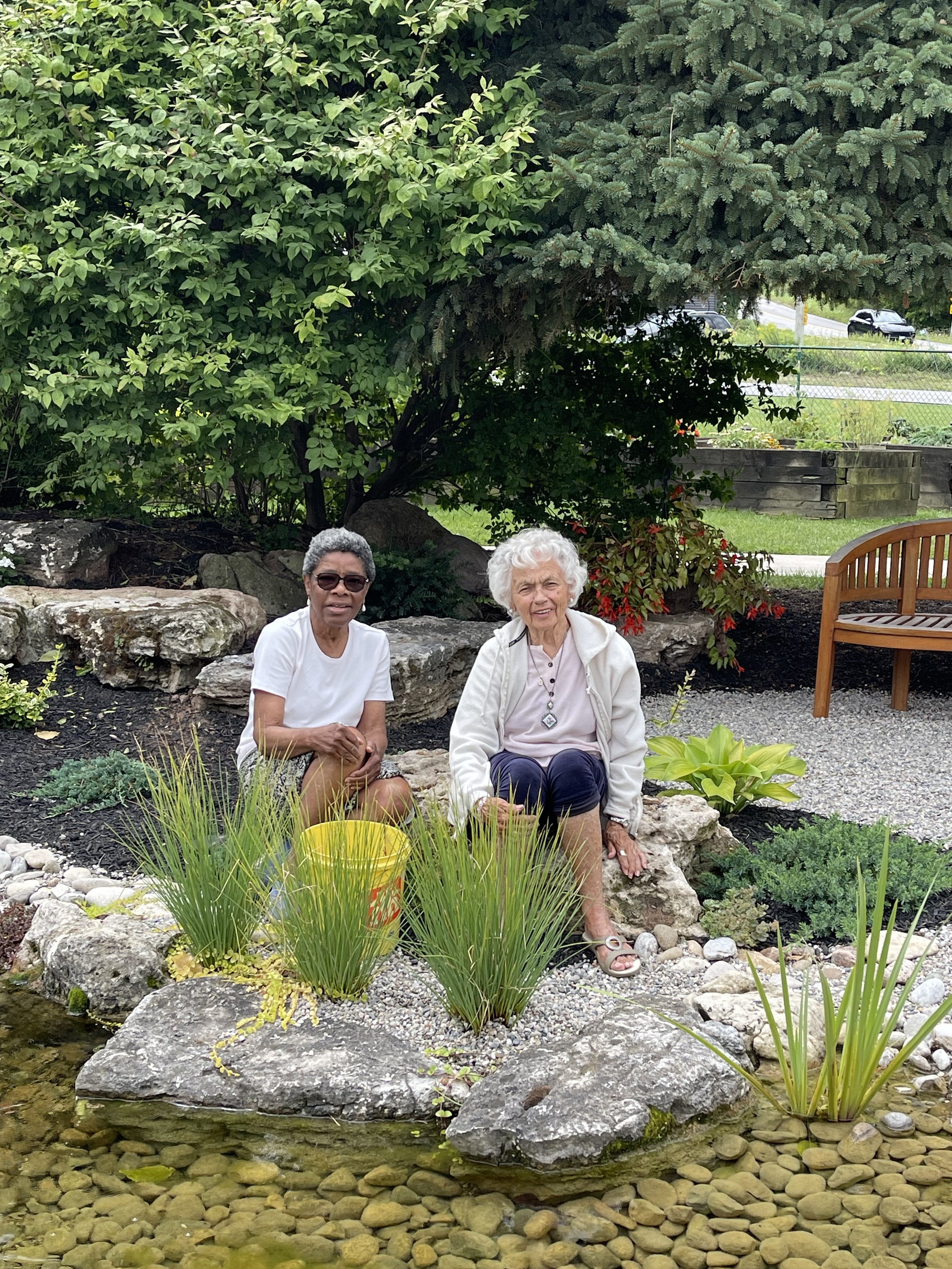 Nettie's Pond – A Labour of Love