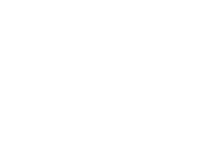 Une image vide avec un fond blanc uni.