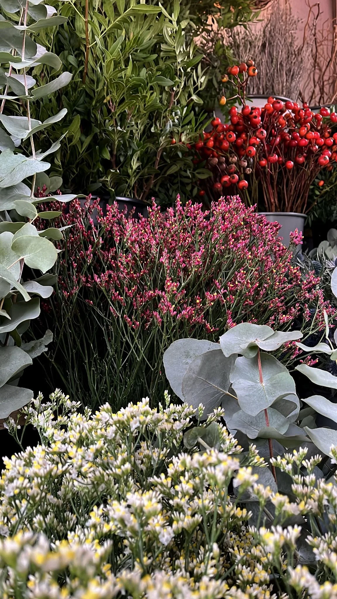 buckets of rosehips.jpeg