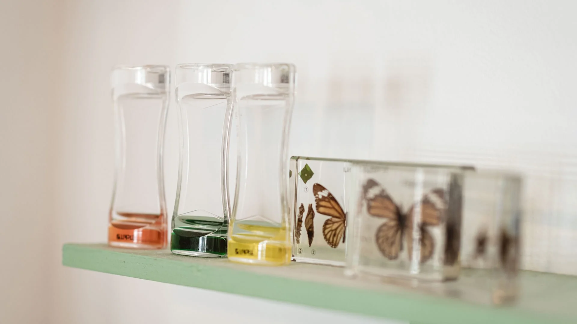 Collection of butterfly and insect reference books and small glass containers with colorful liquids on a green shelf.