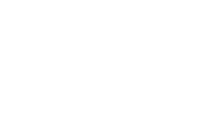 Big Mouth Company logo