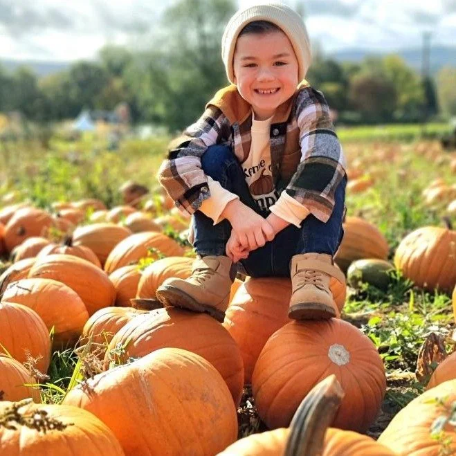 Rogate Pumpkin Patch