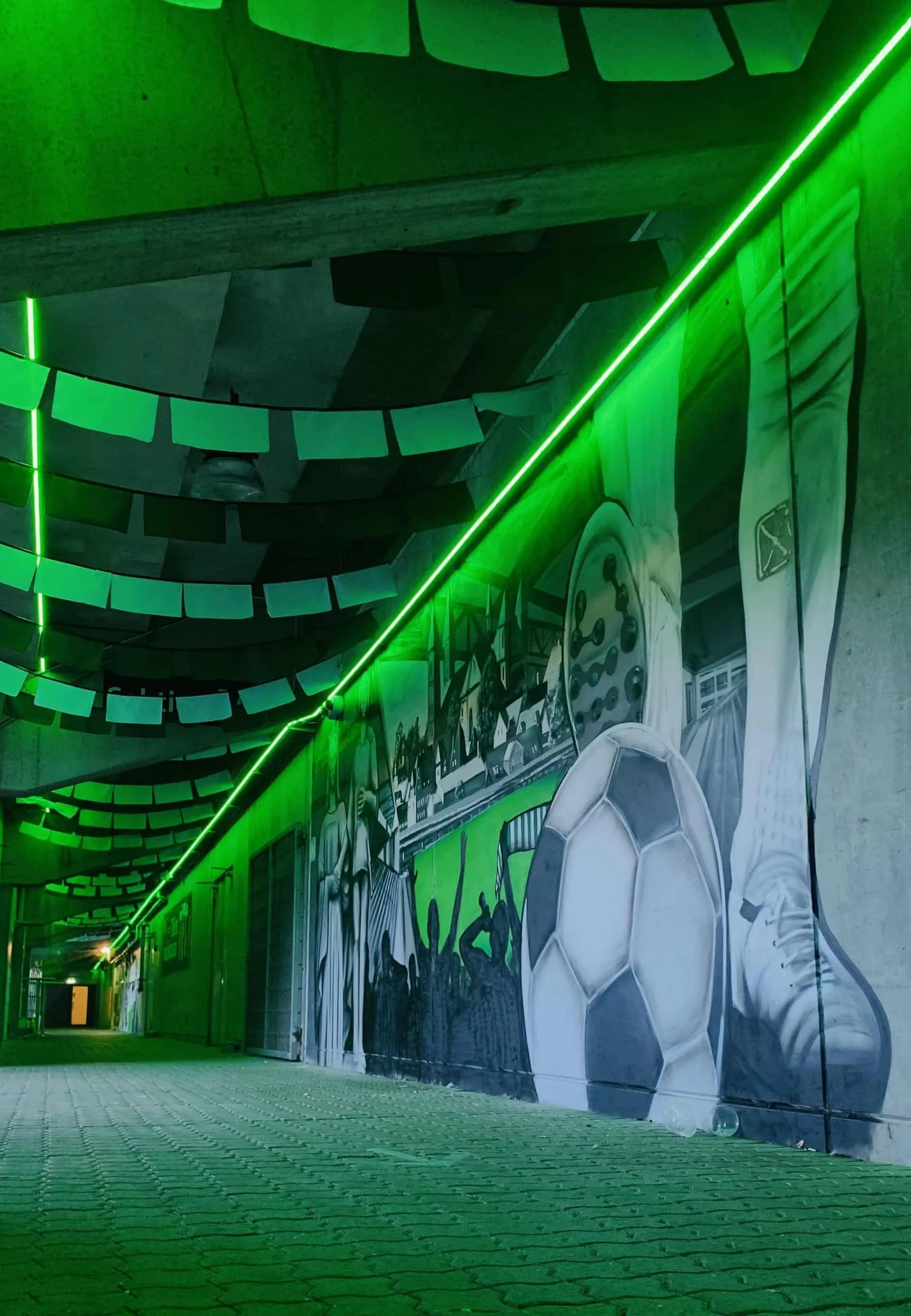 Generalforsamling + Viborg FF “Backstage”