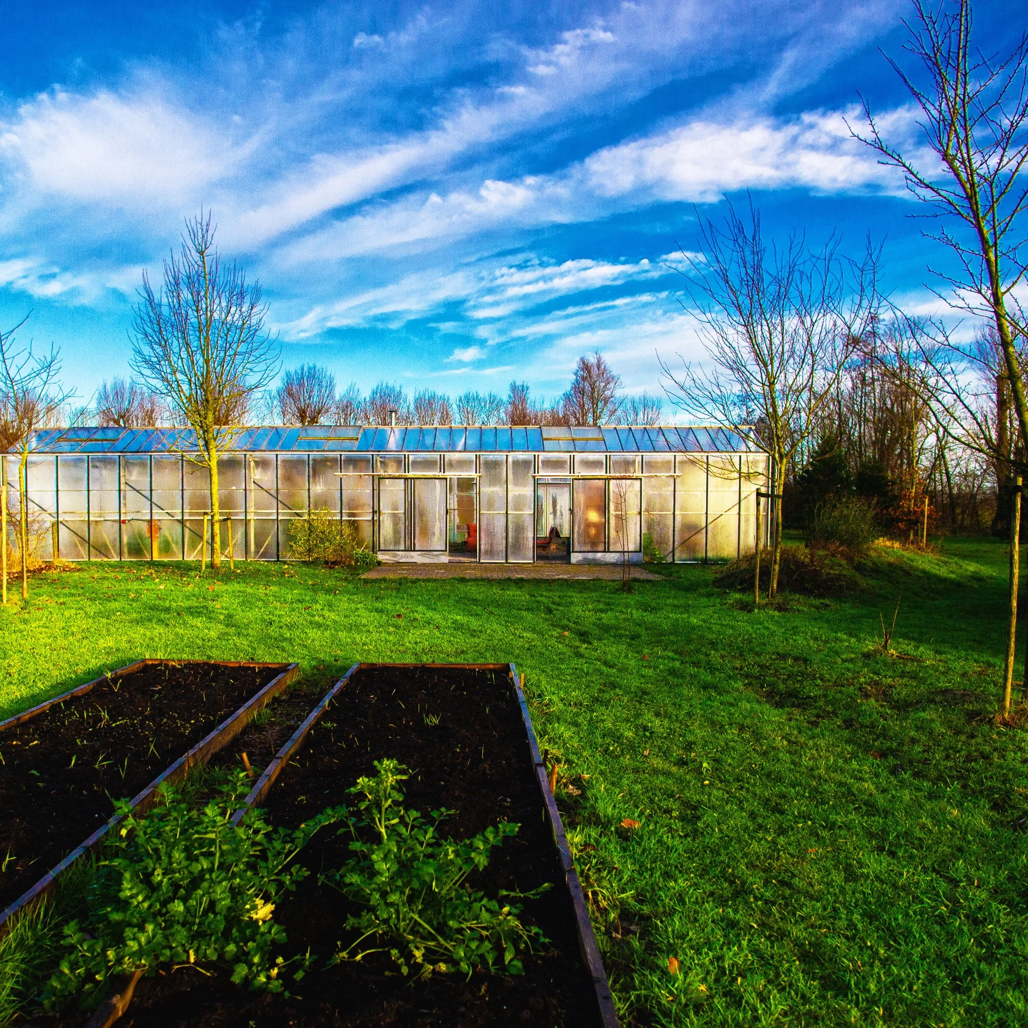 Tuin met groentebed en kas, onder een blauwe hemel met wolken.