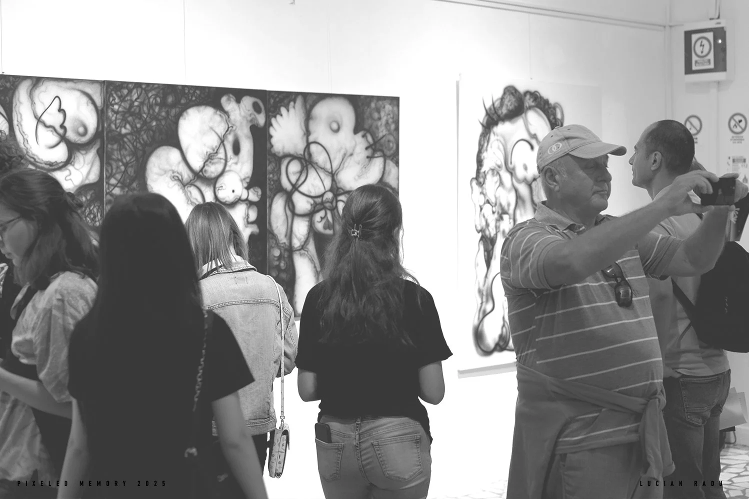 vernisaj lucian radu expozitie