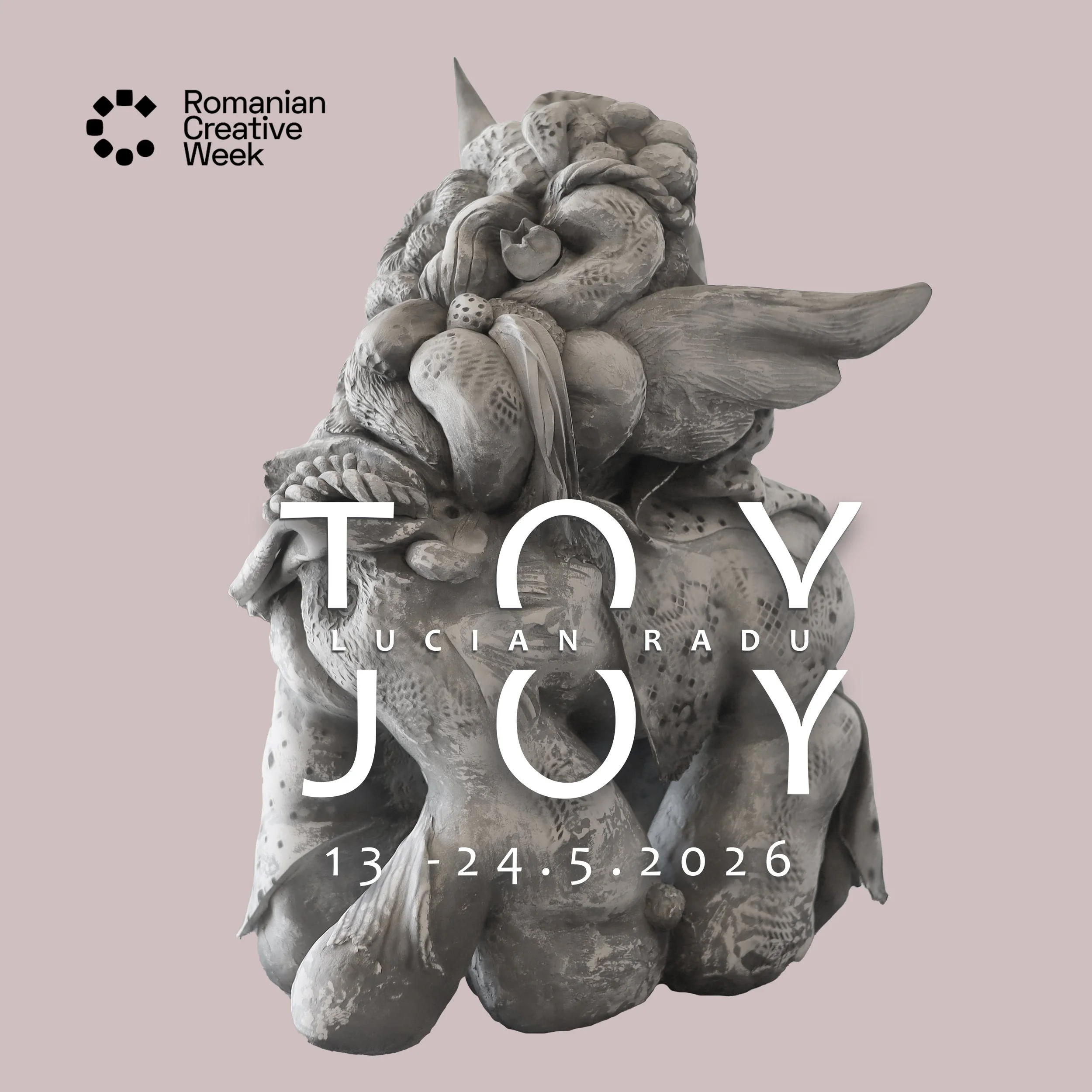 toy joy lucian radu romania