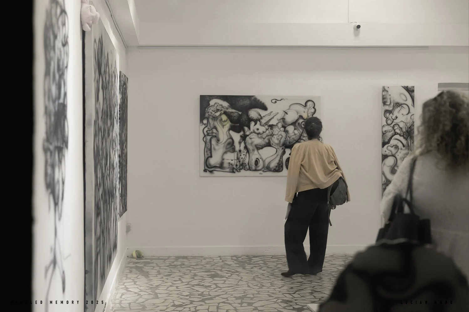 vernisaj lucian radu expozitie