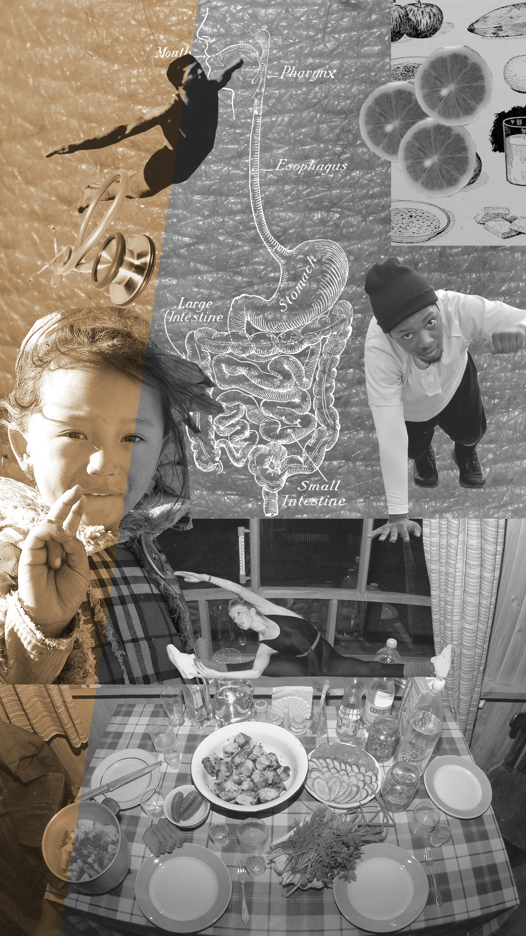 Collage of human anatomy, nutrition, and movement illustrating health and well-being.