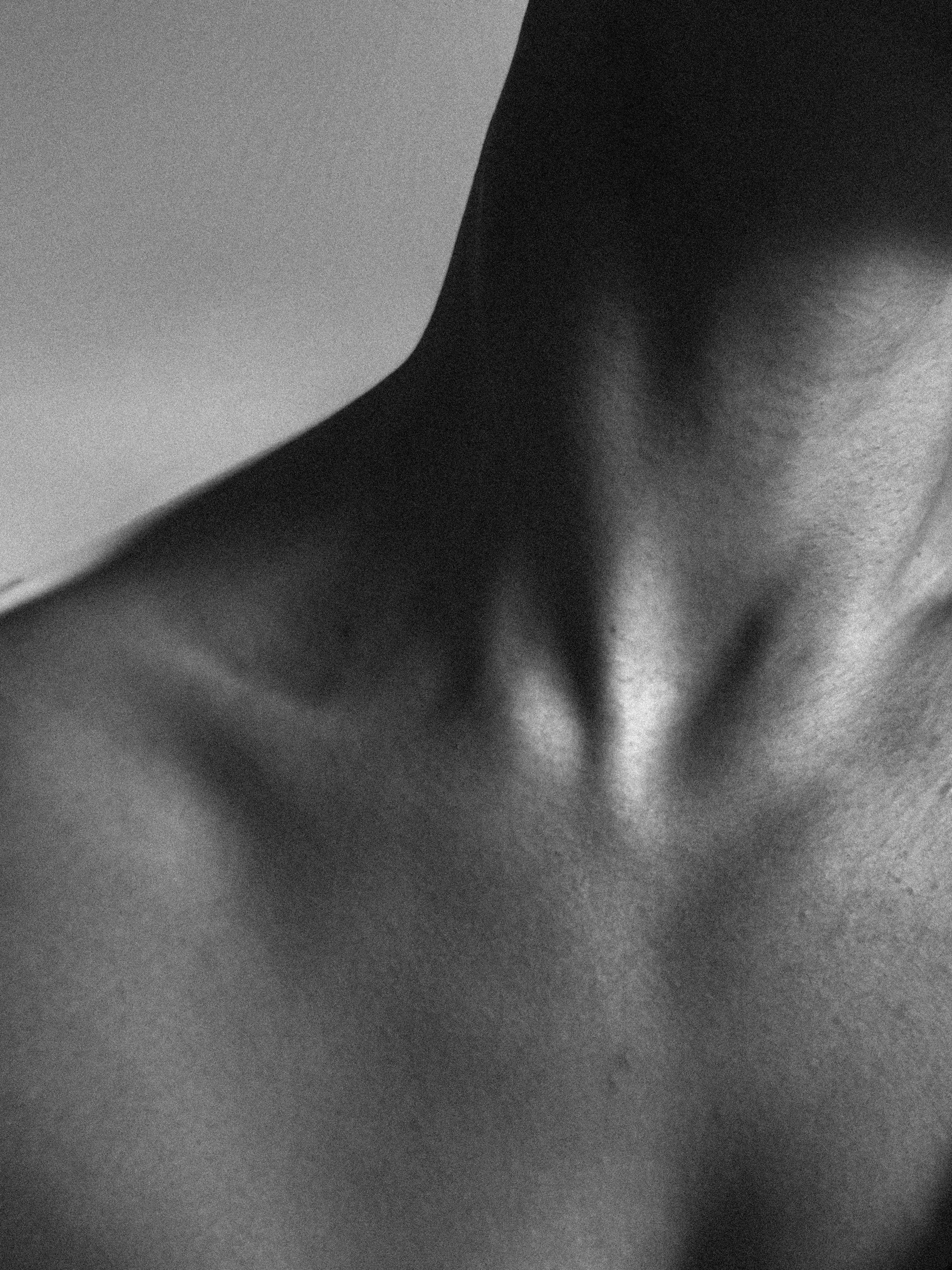 The Wisdom of the Body: Understanding Body Regulation