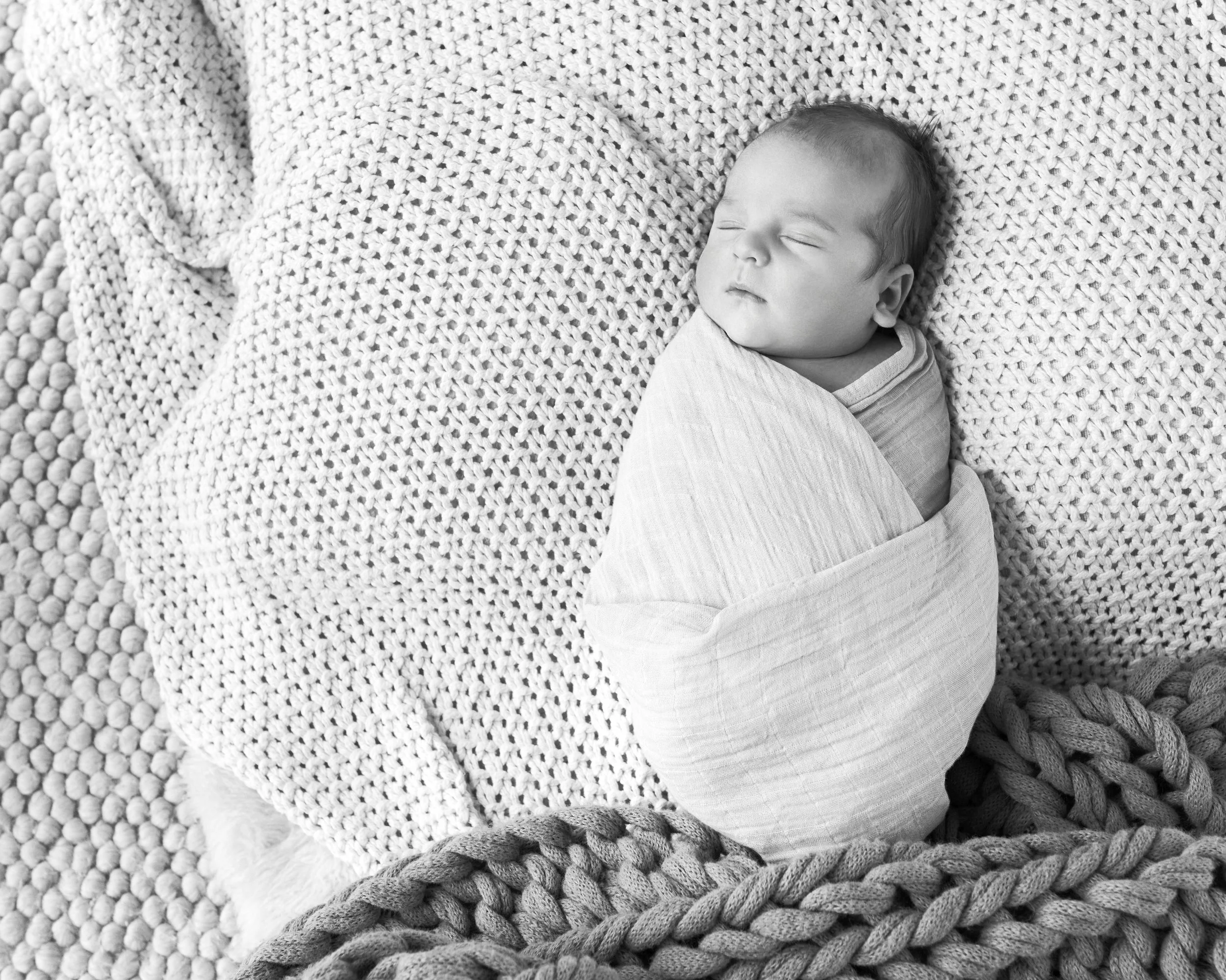 Harvey Family.Low Res.002.jpg