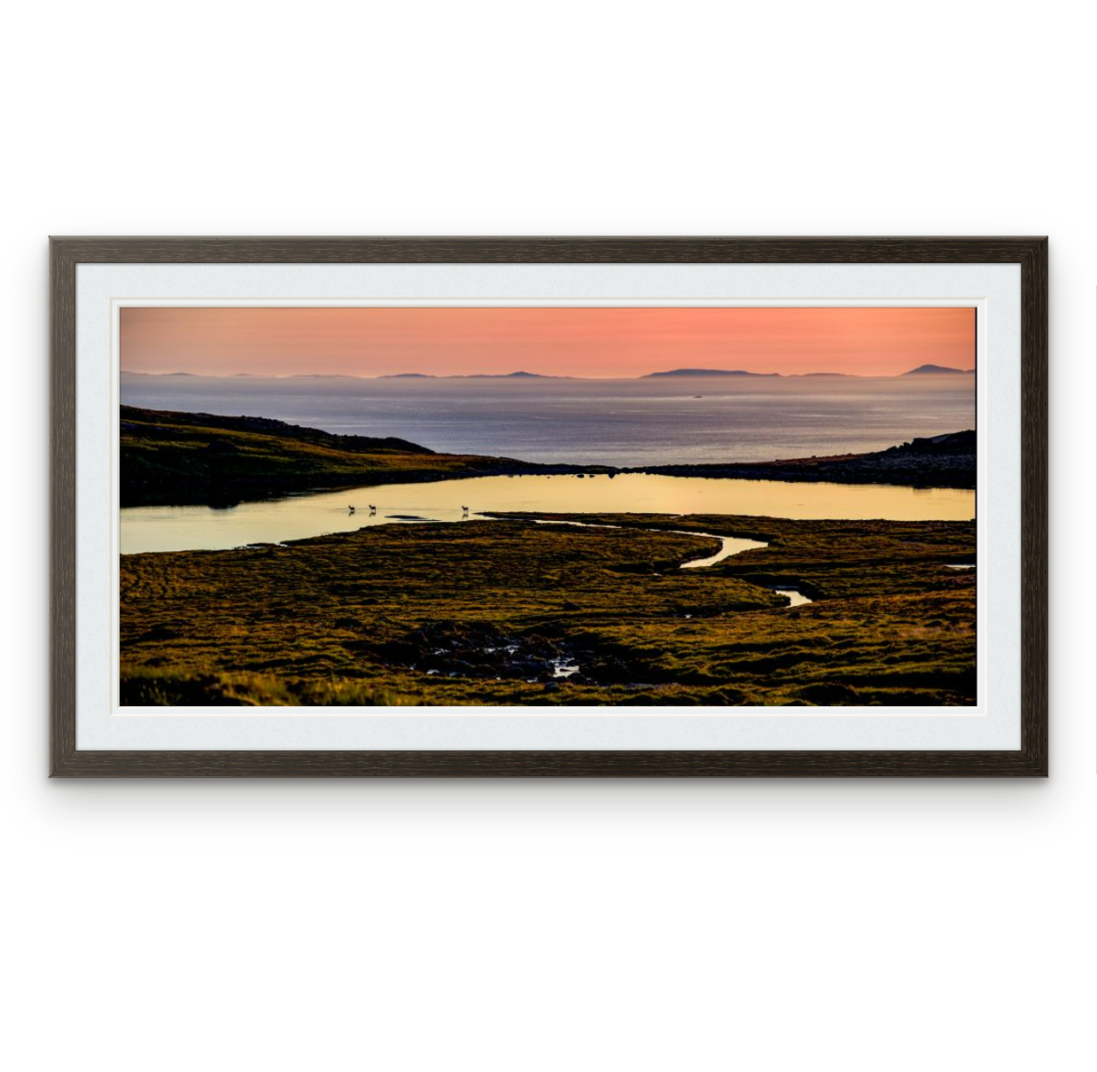 Deer crossing Loch Fiachanais, Isle of Rum | Frame: 21mm wide, wenge foil | Size (approx): 790 x 426mm | Double mount, Snow White | £185.00