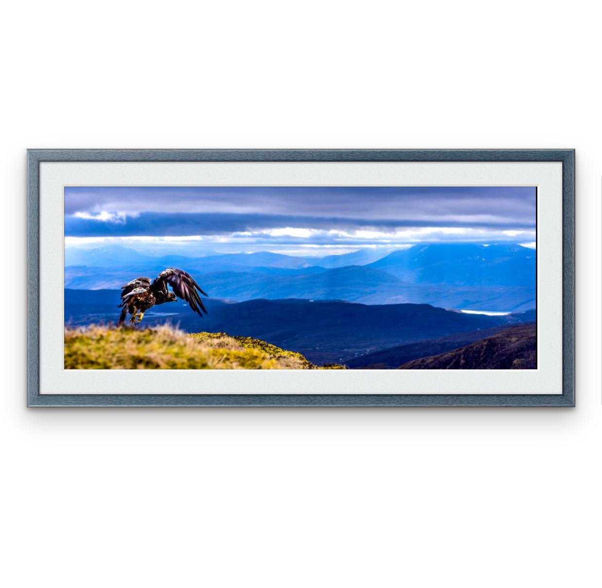 Golden Eagle, Cul Mor | Frame: 13mm wide, blue | Size (approx): 556 x 262mm | 
Single mount, Snow White | £125.00