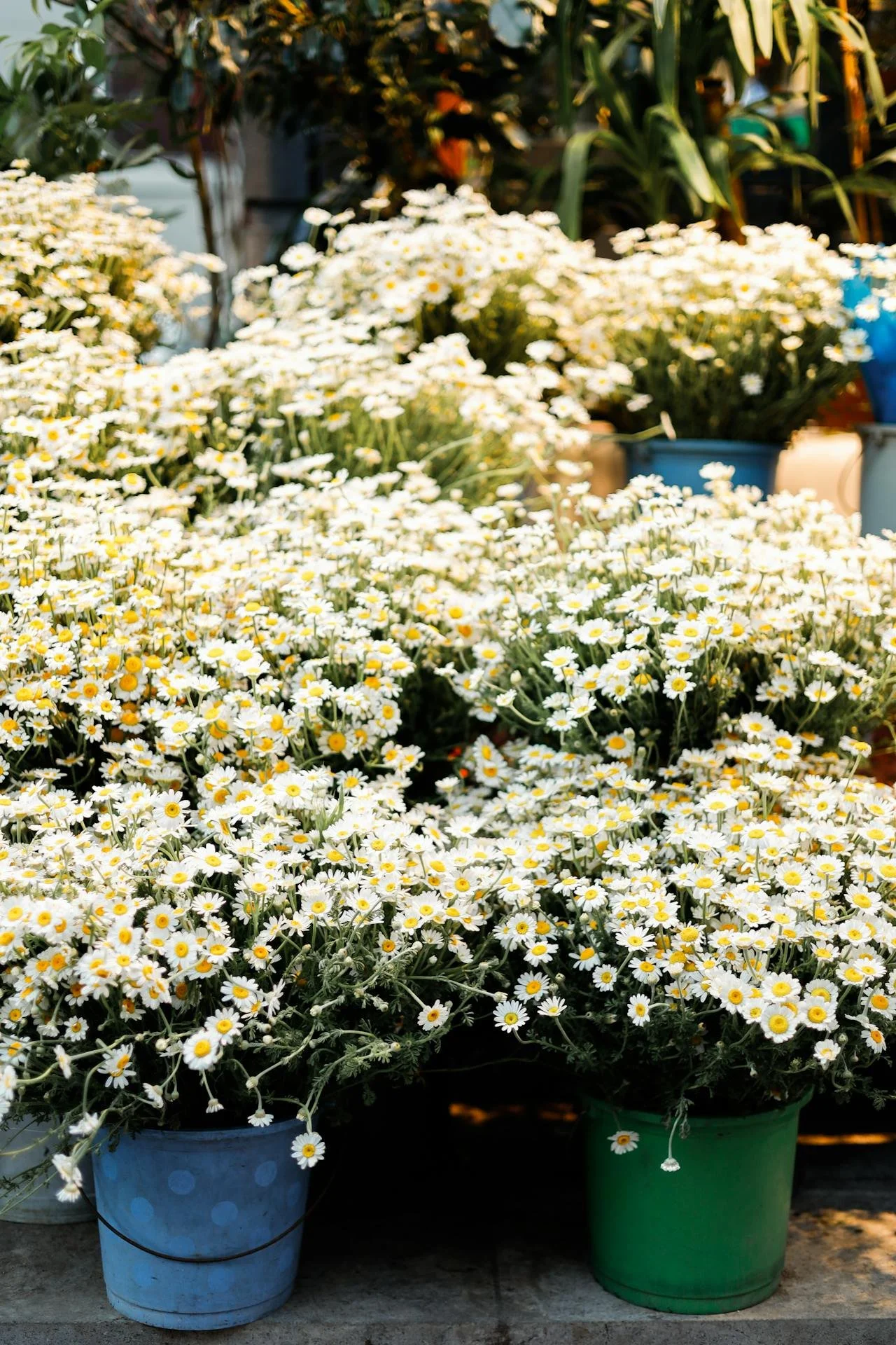 HK florist and flower delivery services