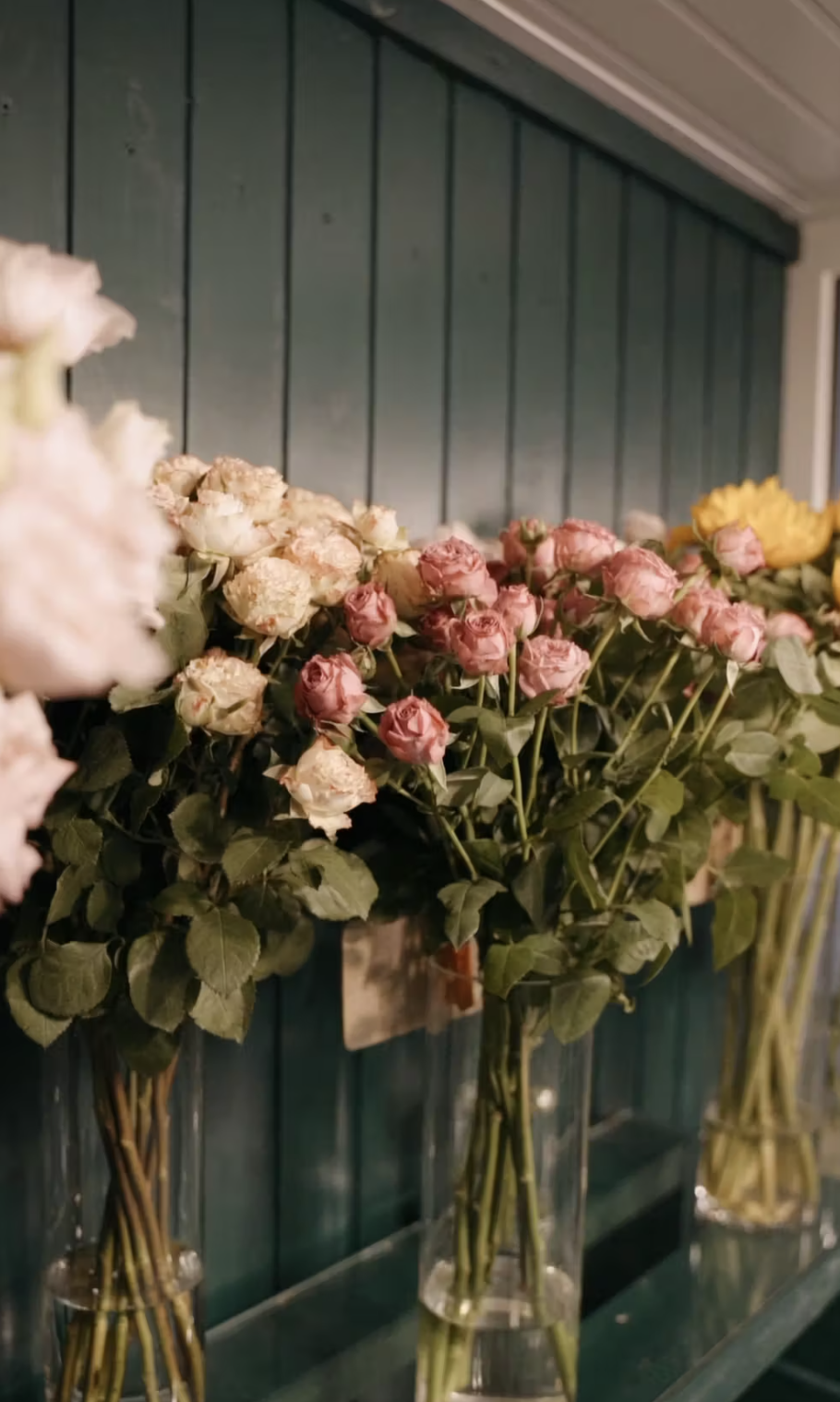 Various colored roses in clear glass vases on a shelf.