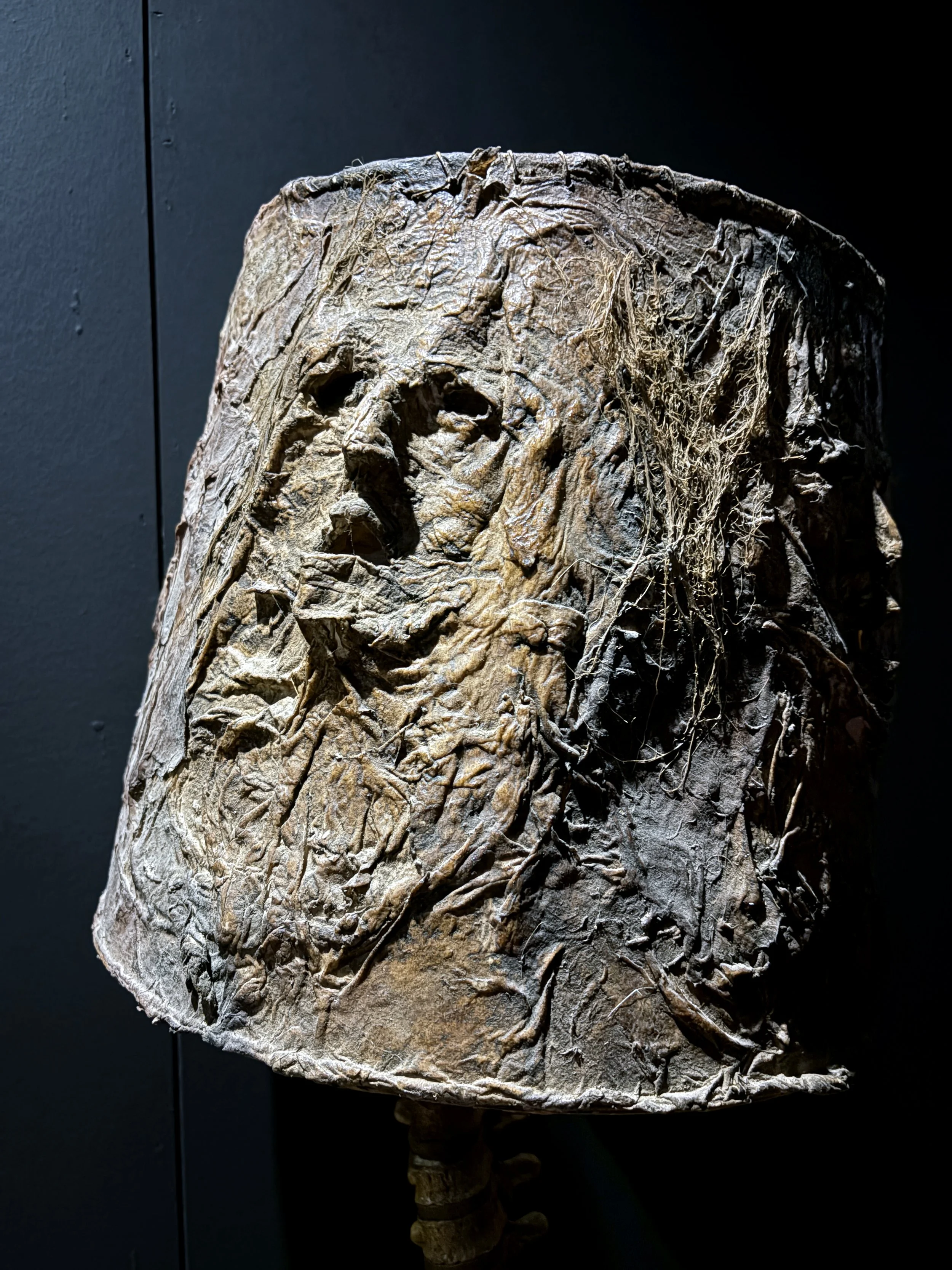 A sculptural art piece resembling a human head with a rough, textured surface and roots or fibers embedded in it, displayed against a dark background.