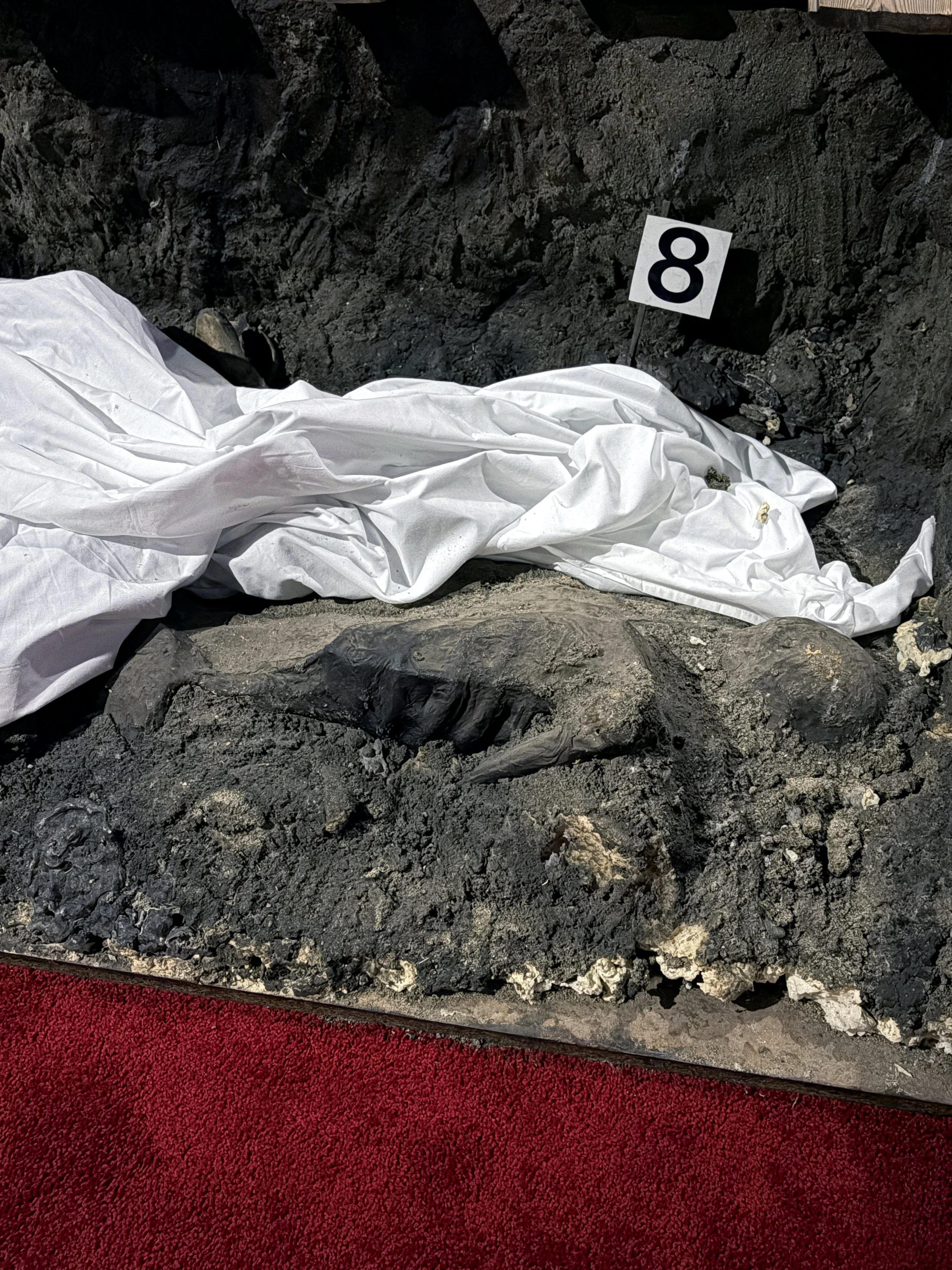 Evidence marker labeled 8 next to a white cloth on dark volcanic soil, with a red carpet in the foreground.