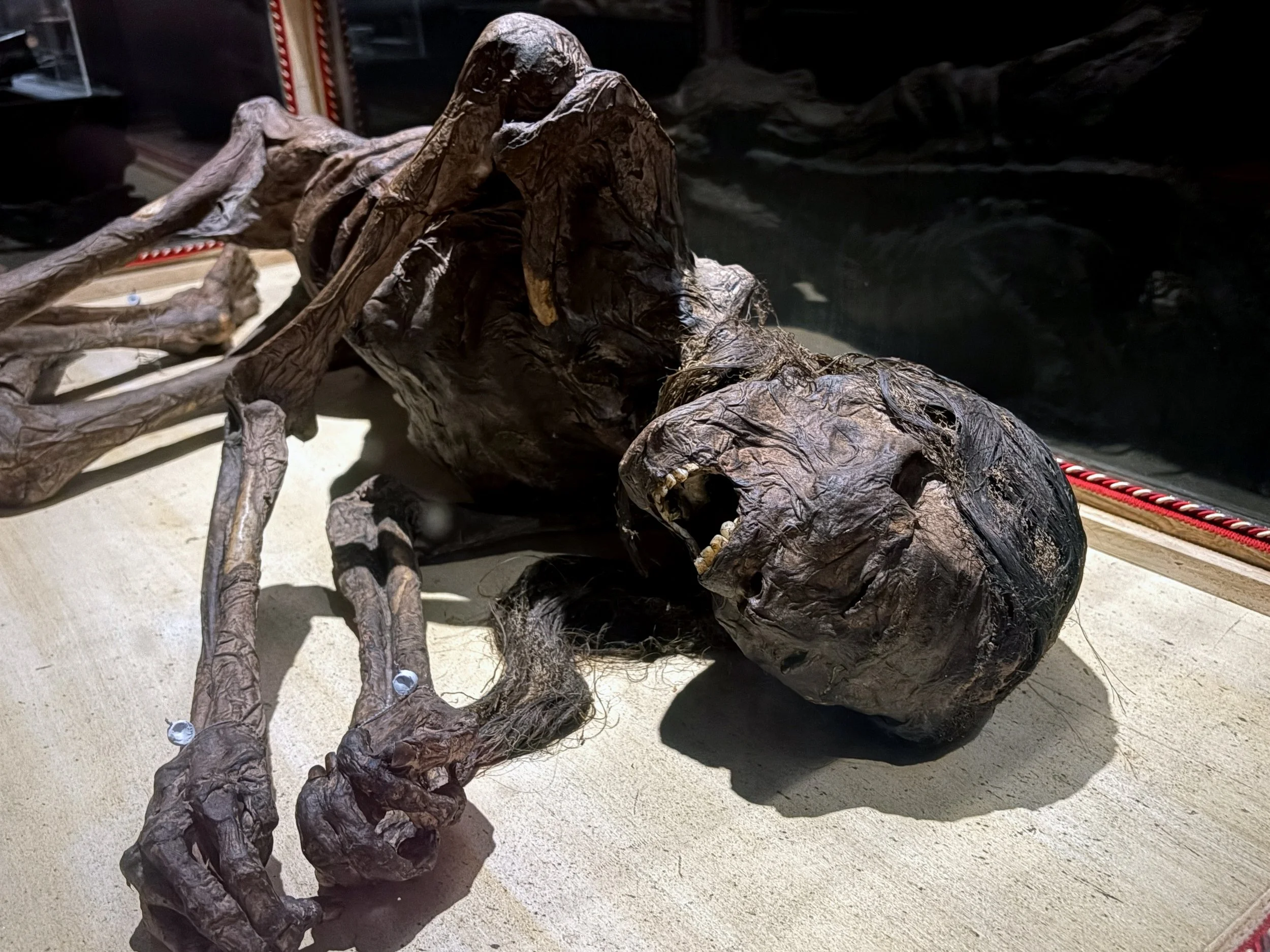 A wooden sculpture resembling a crawling or crouching creature with a skull-like head, placed on sand with a red and white rope border nearby.