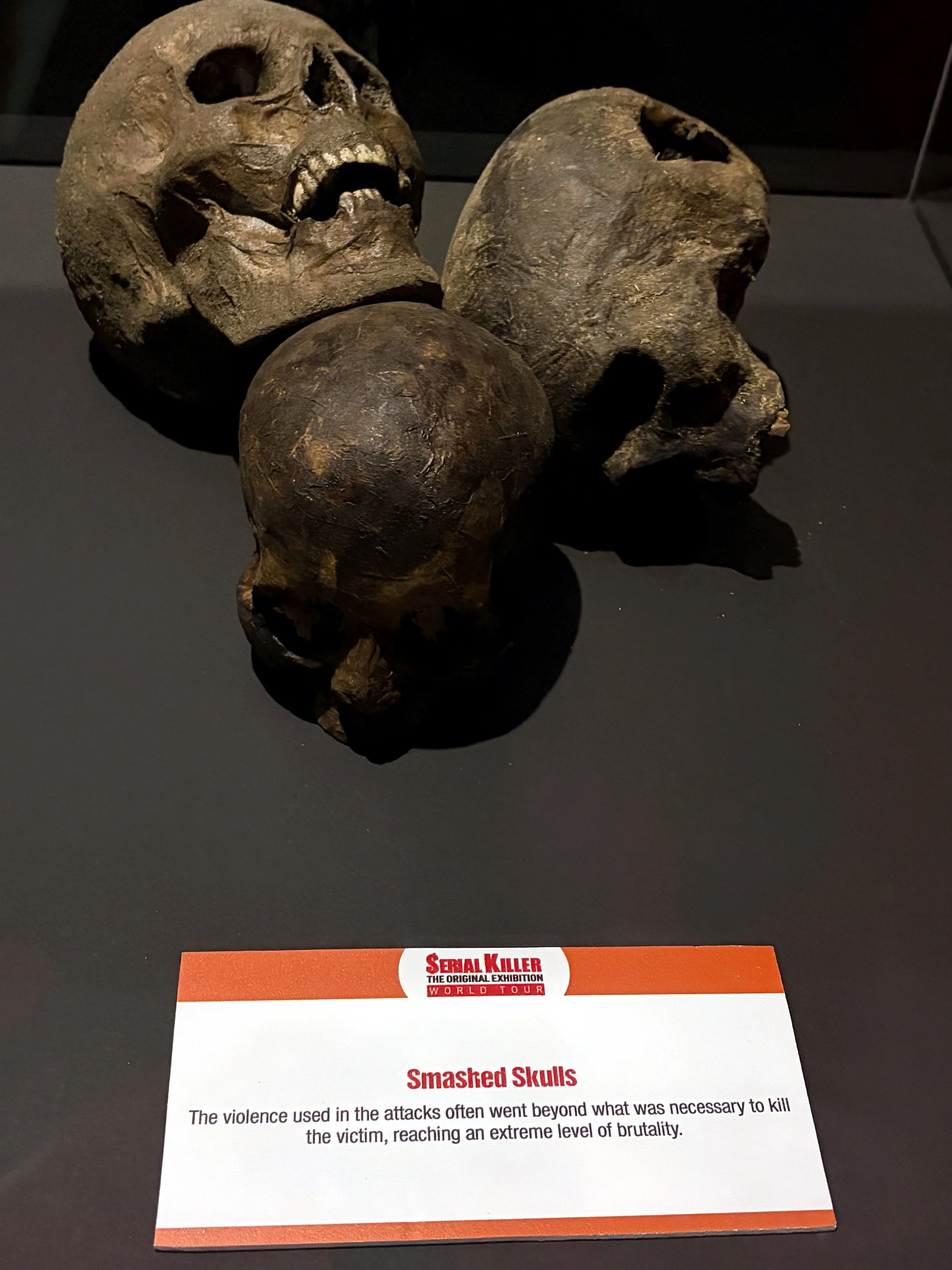 Two smashed skulls displayed on a dark surface, with an informational card underneath that reads 'Serial Killer: Smashed Skulls,' part of an exhibition about violent attacks and brutality.