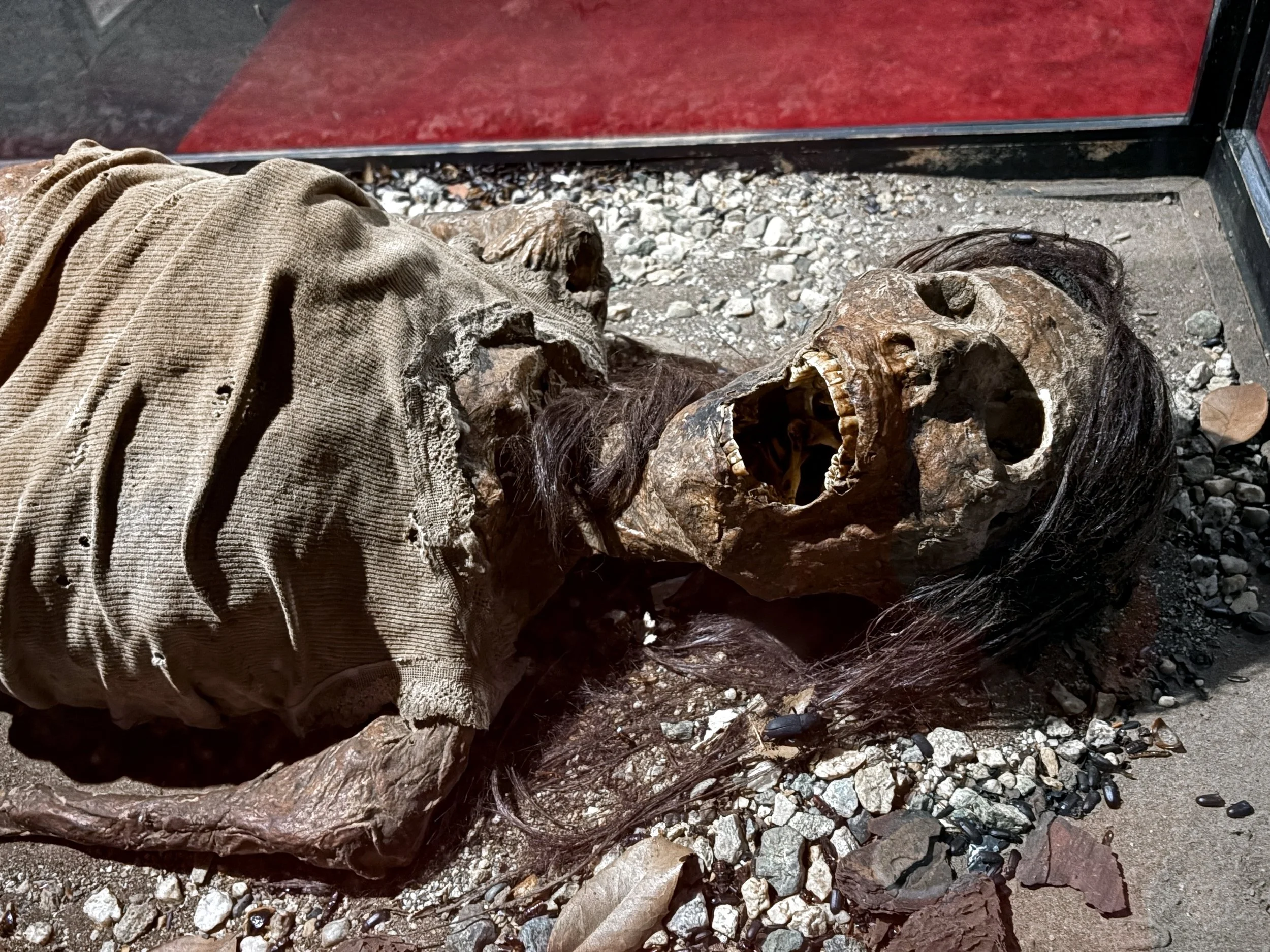 A landscape scene with a skeleton lying on the ground near a glass door. The skeleton's head faces the camera, and it appears to be partially covered with a cloth or fabric. The ground is covered with small rocks and gravel.