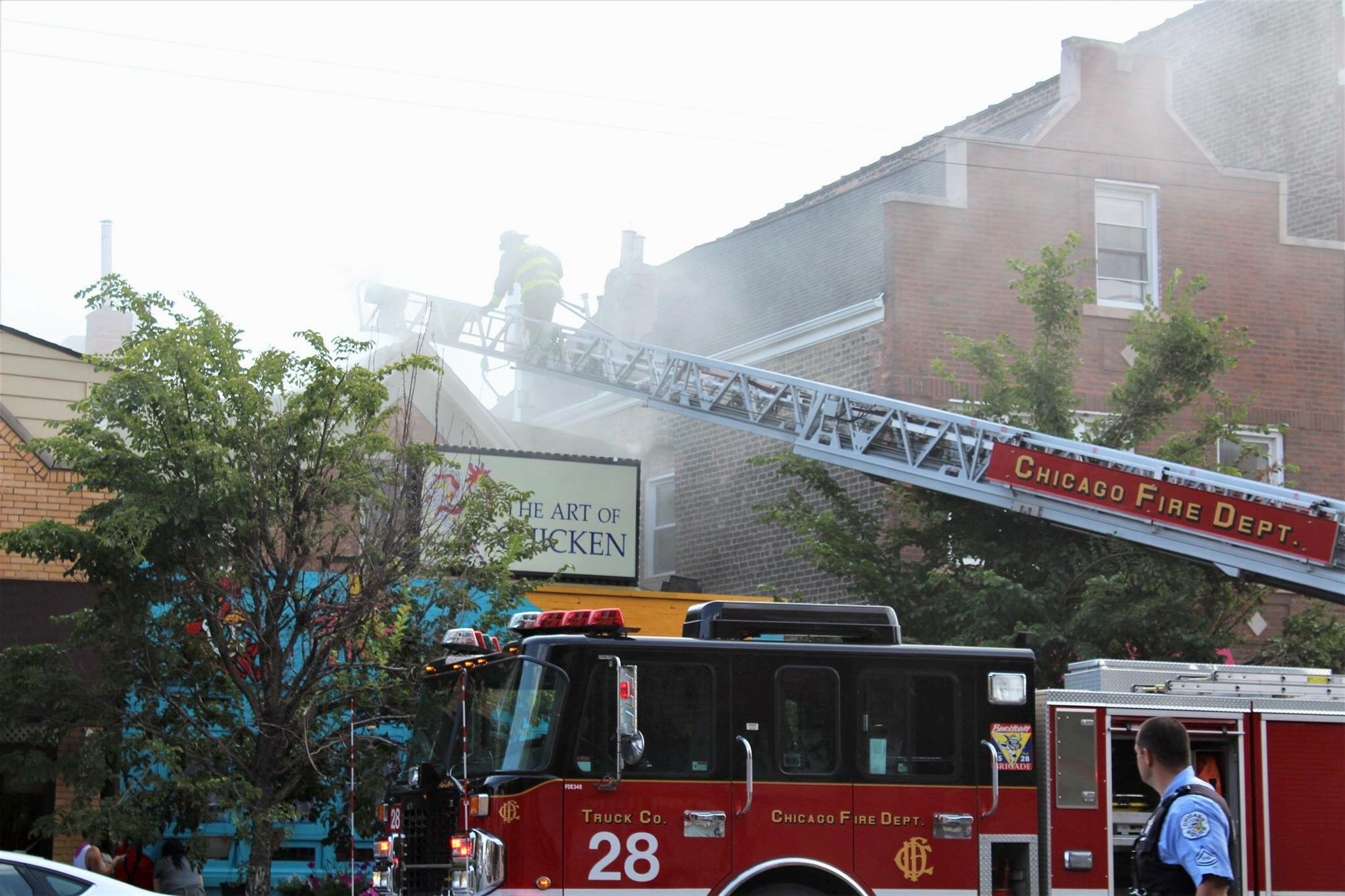 Firefighters on a ladder reaching towards a building, with fire trucks parked below, amidst trees and buildings in an urban setting.
