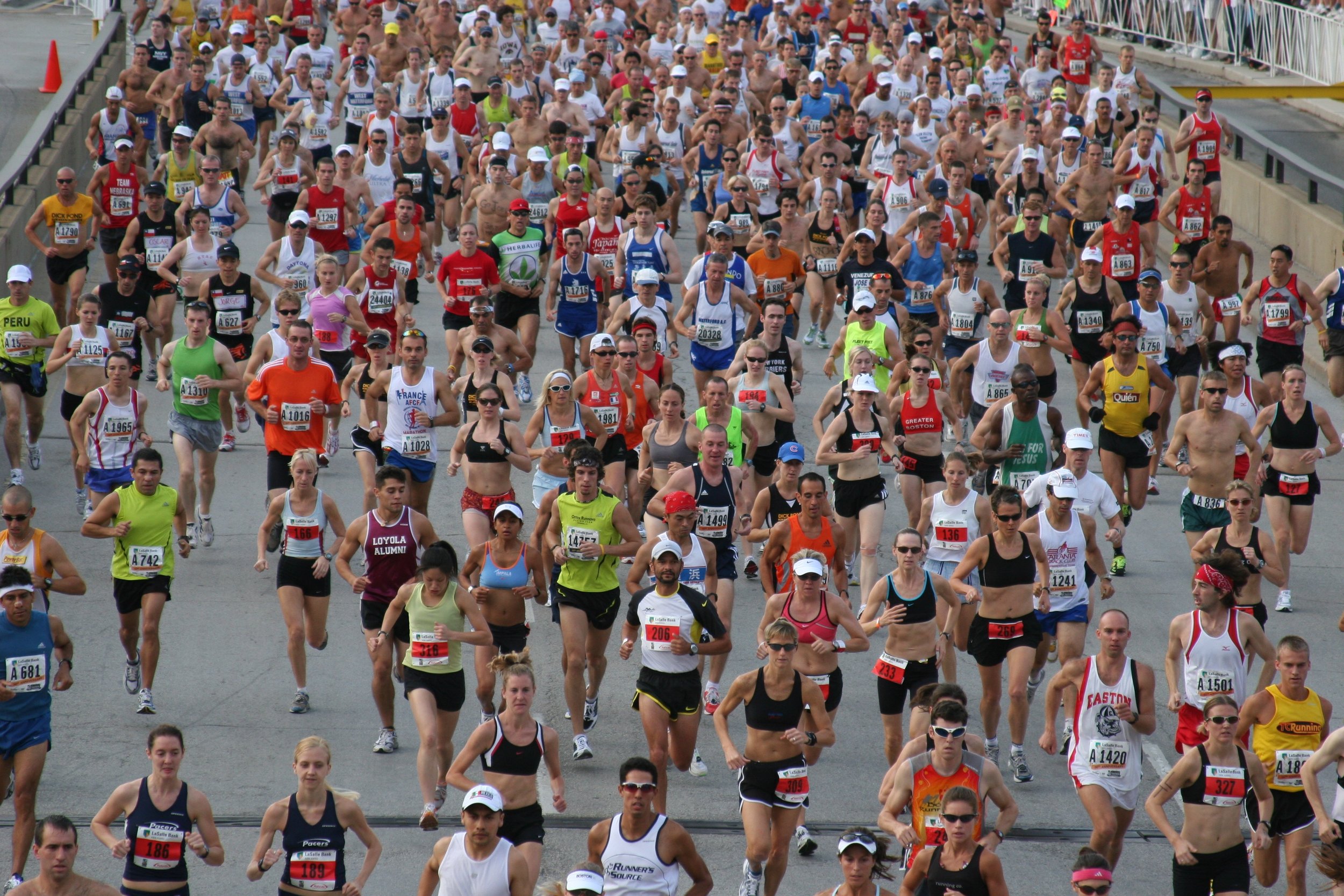 A large group of runners participating in a marathon, running on a wide road with metal barriers on the sides.