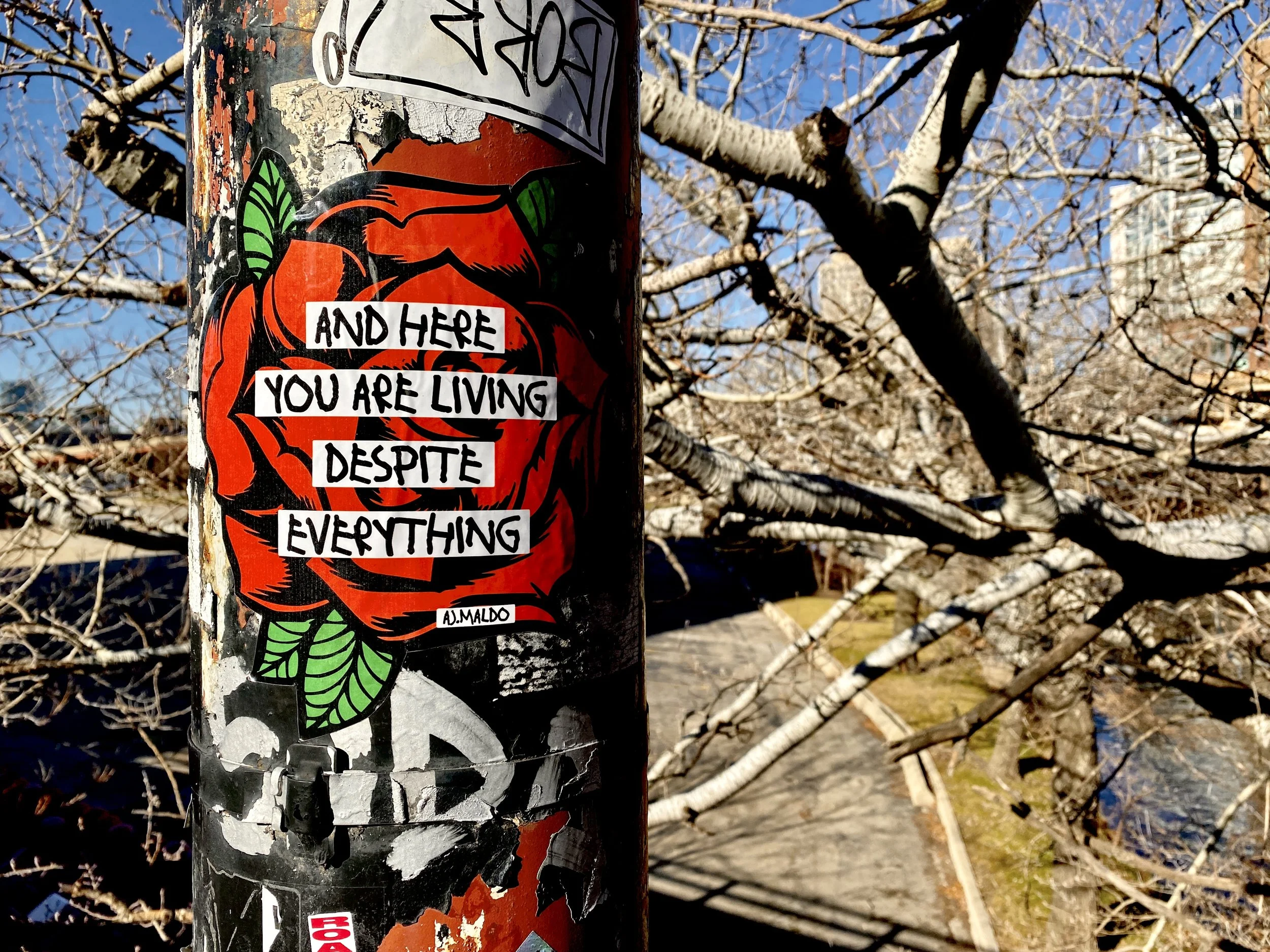 A close-up of a weathered pole covered with multiple stickers, some torn and peeling. One sticker features art of an orange person with green details and black outlines with the text 'And here you are living despite everything.' The background reveal