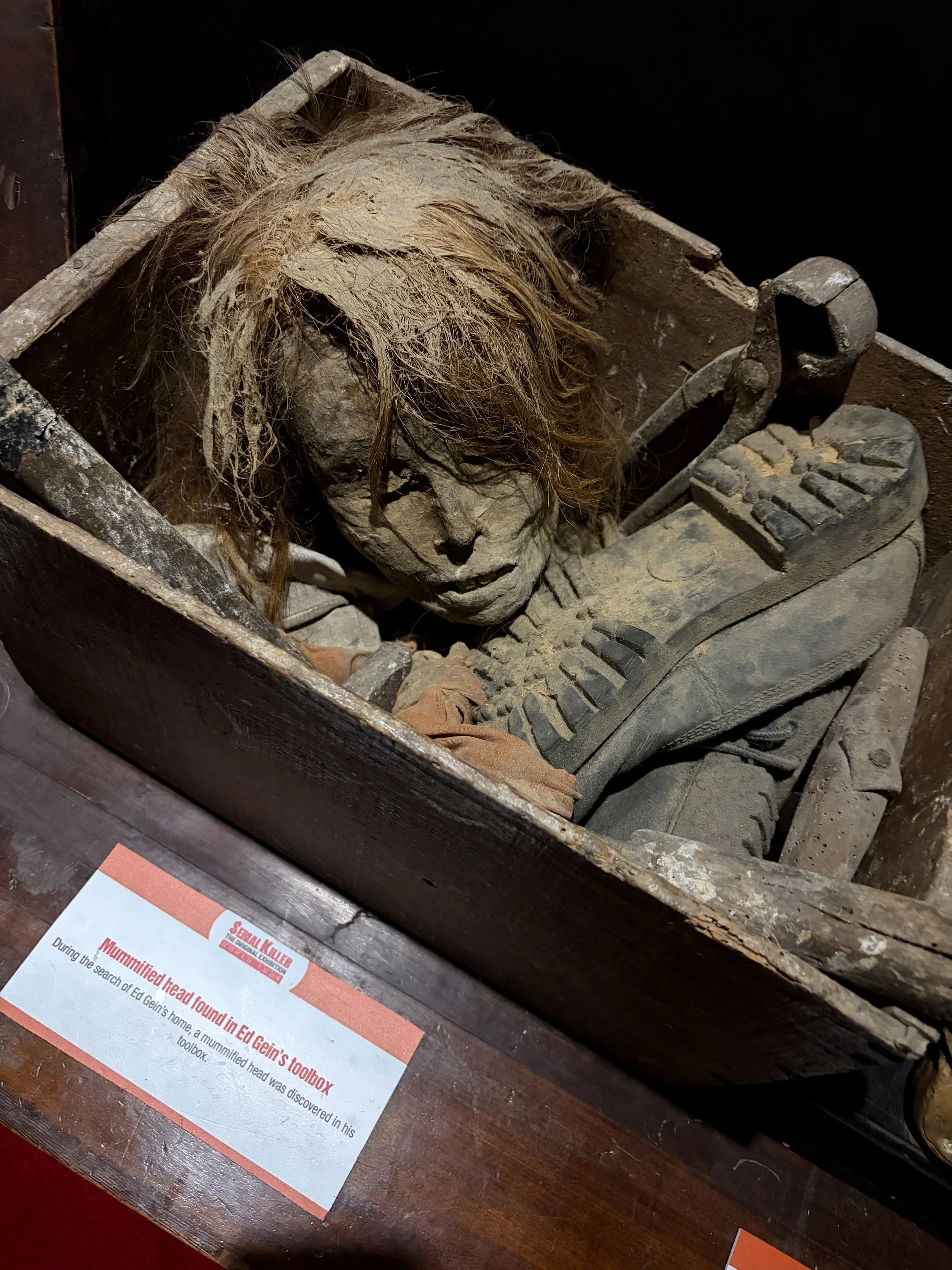 A mummified human head with hair inside a wooden toolbox.