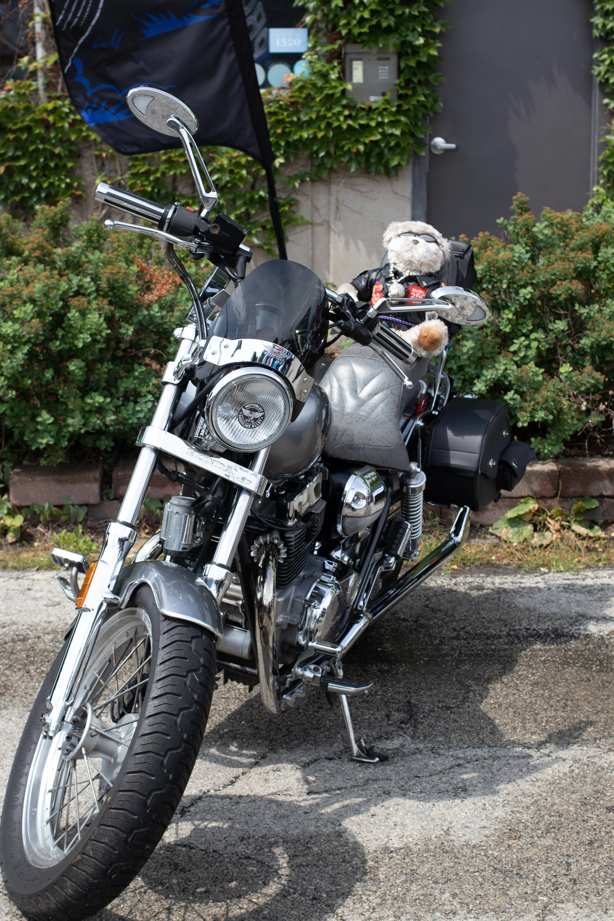 A shiny black and chrome motorcycle parked on a paved surface, with a stuffed teddy bear wearing sunglasses sitting in the back seat next to a black backpack, against a backdrop of green bushes and a gray door.