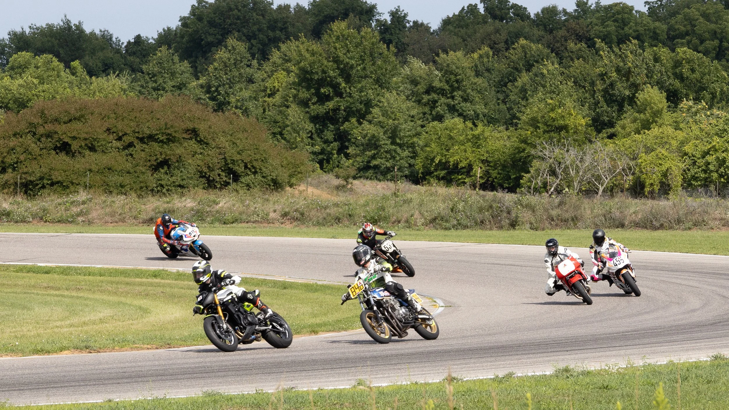 Motorcycles racing on a track with a forested background, some riders leaning into a curve.