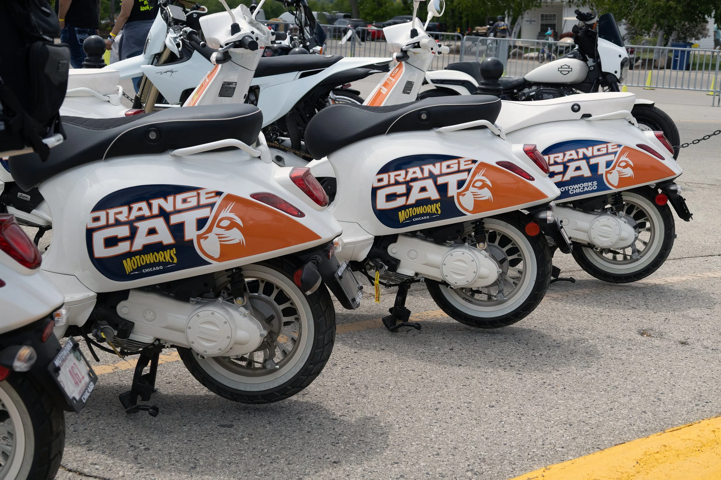 Multiple white scooters with orange and blue 'Orange Cat' logo parked in a row at an outdoor event. Some people are visible in the background.