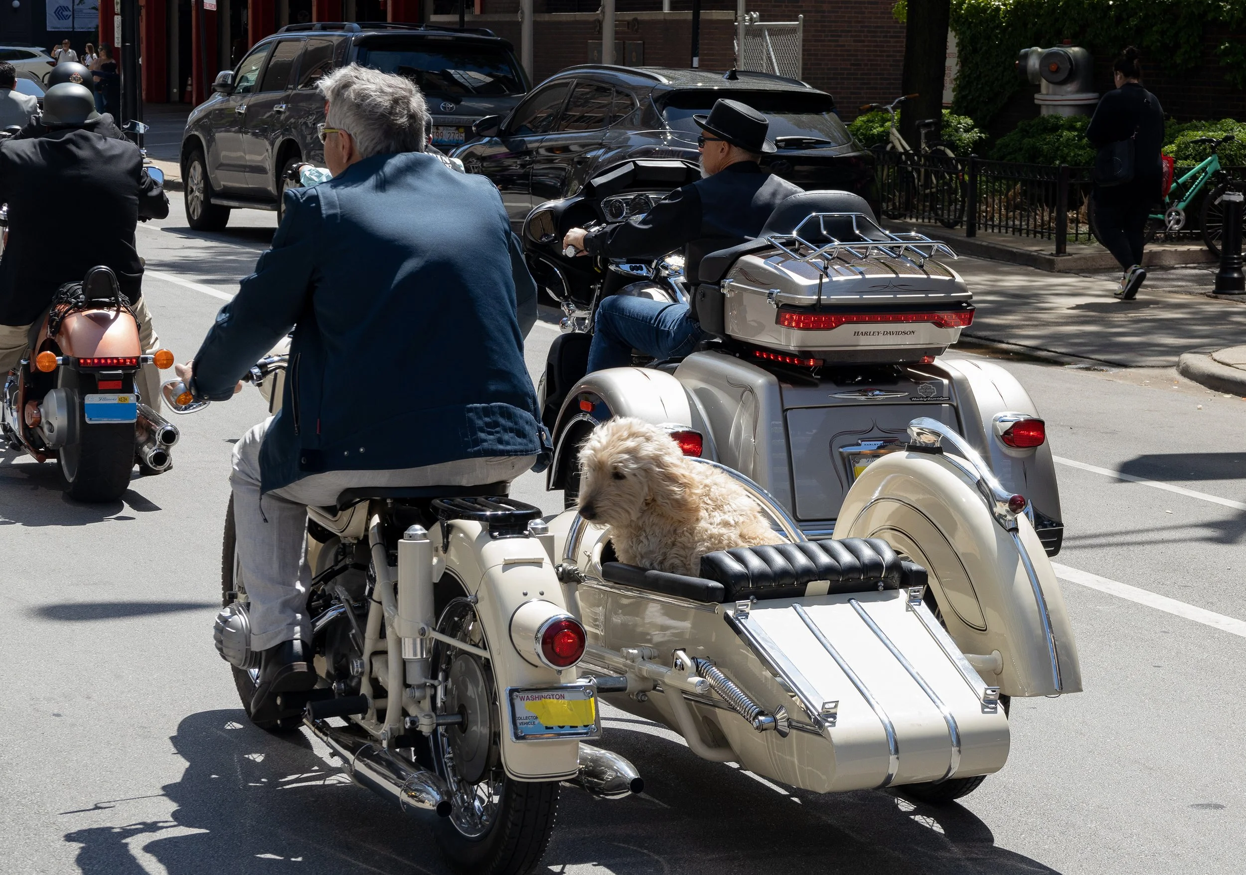 A parade scene with motorcycles and a sidecar, featuring a dog sitting inside the sidecar. The motorcycles are moving down a city street with parked cars, pedestrians, and buildings in the background.