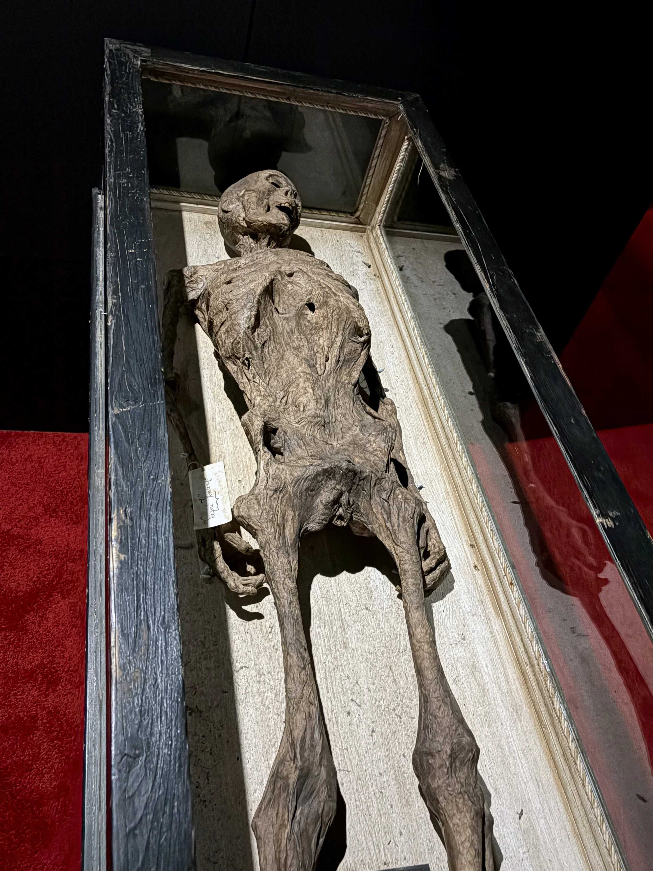 A sculpture of a humanoid creature with animalistic features, lying on a flat surface inside a display case.