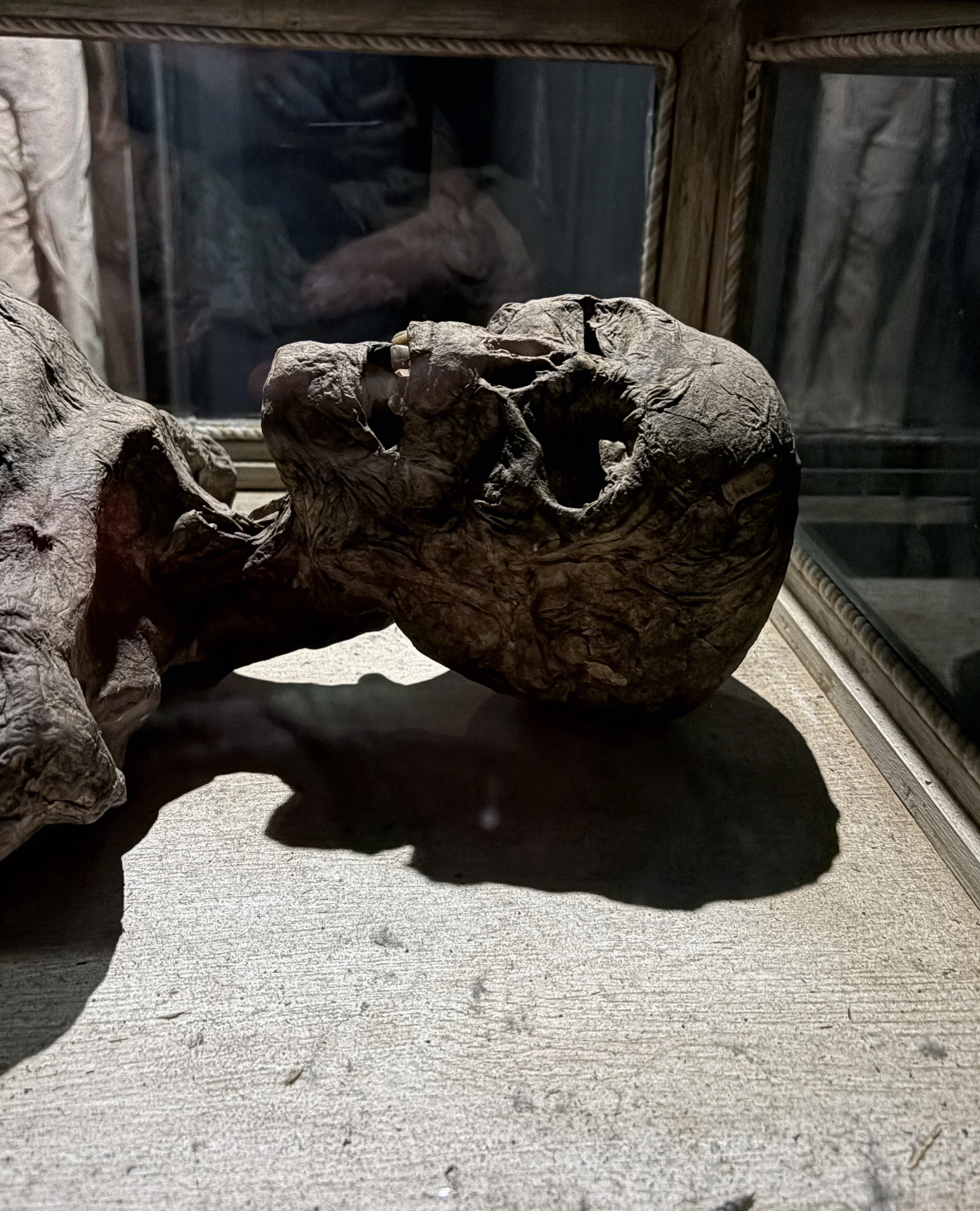 A ceramic or stone skull sculpture with detailed features, placed on a wooden surface with sunlight casting shadows.