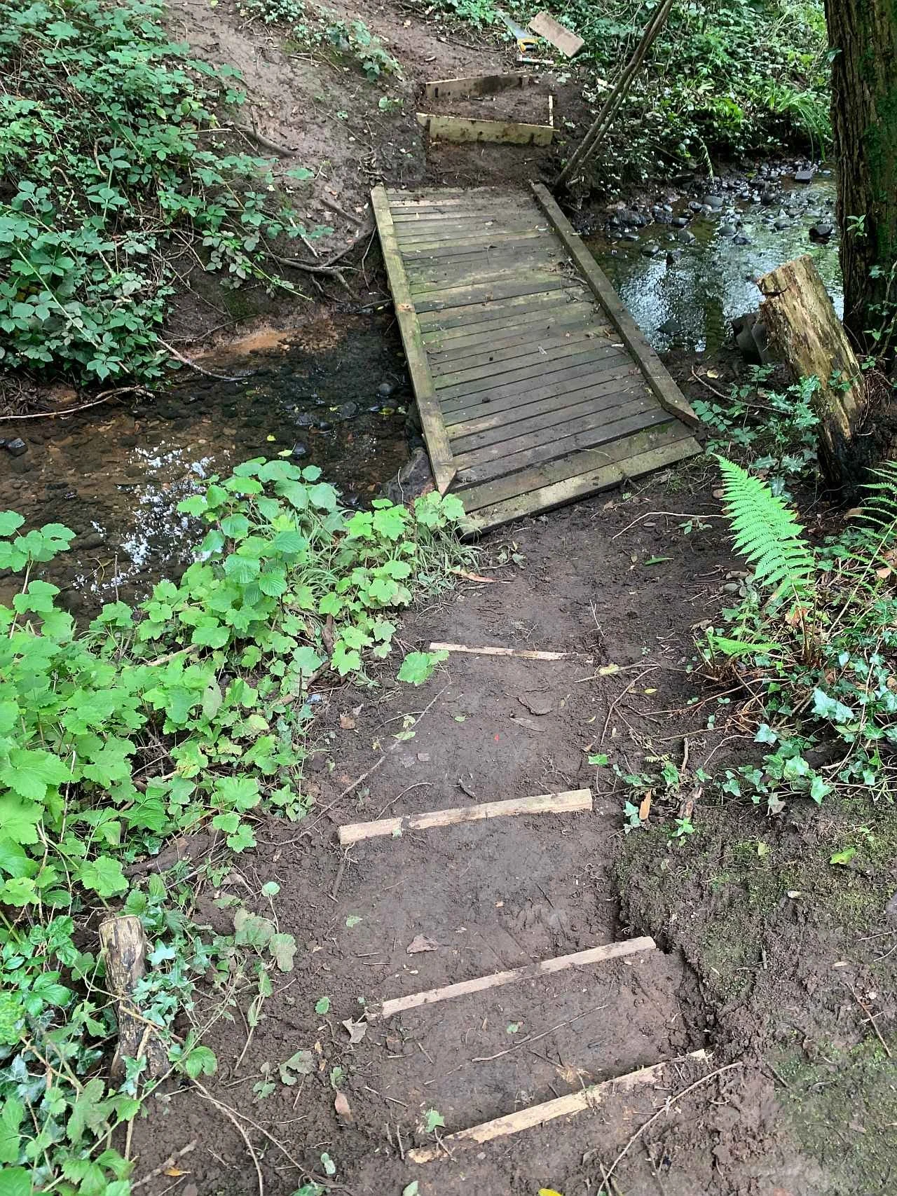 steps  to bridge.jpg