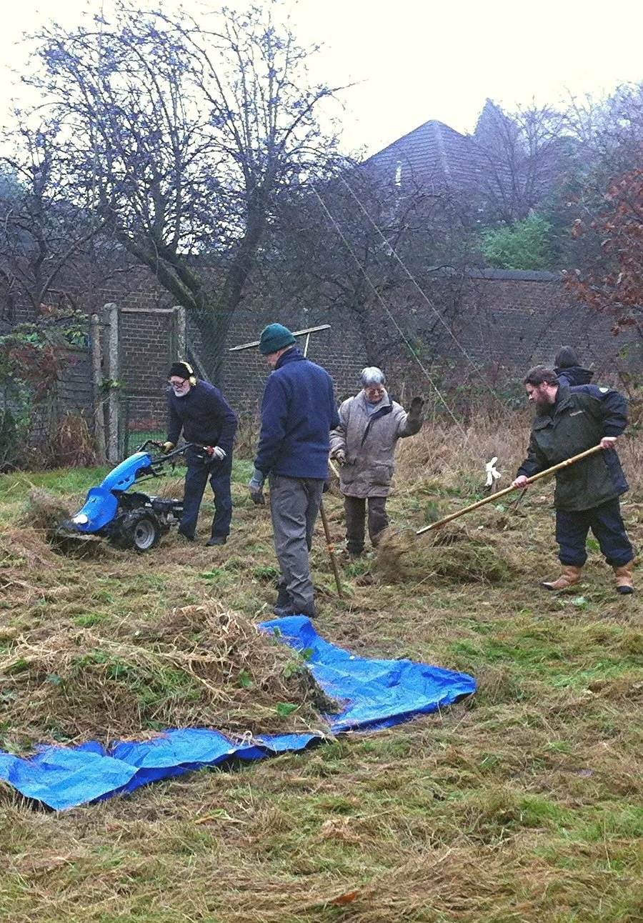 Pinehurst work 2.jpg