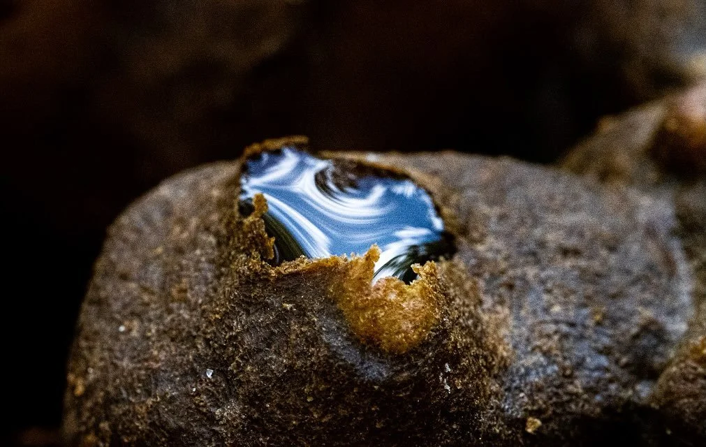 Seguindo a jornada da #S&eacute;rieSemFerr&atilde;o, vamos lembrar do segundo volume, lan&ccedil;ado em 2023, que aprofunda o conhecimento sobre os produtos das abelhas nativas.

Em &ldquo;Produtos das abelhas nativas: caracter&iacute;sticas, t&eacut