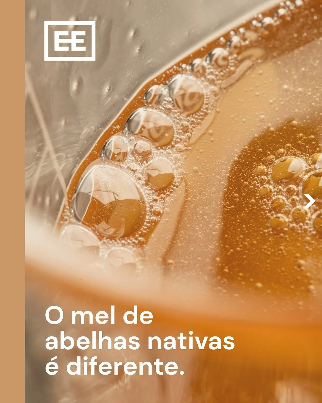 A fermenta&ccedil;&atilde;o &eacute; uma das principais caracter&iacute;sticas que diferencia os m&eacute;is das abelhas nativas sem ferr&atilde;o (Meliponini) daqueles produzidos pela Apis mellifera.

Compreender essa transforma&ccedil;&atilde;o nat